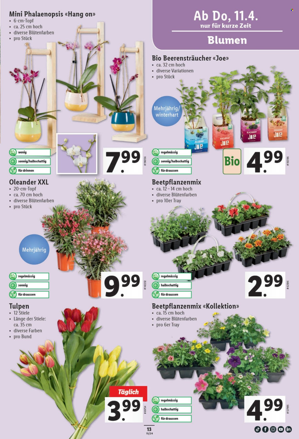 Catalogue Lidl - 11.4.2024 - 17.4.2024. Page 13.