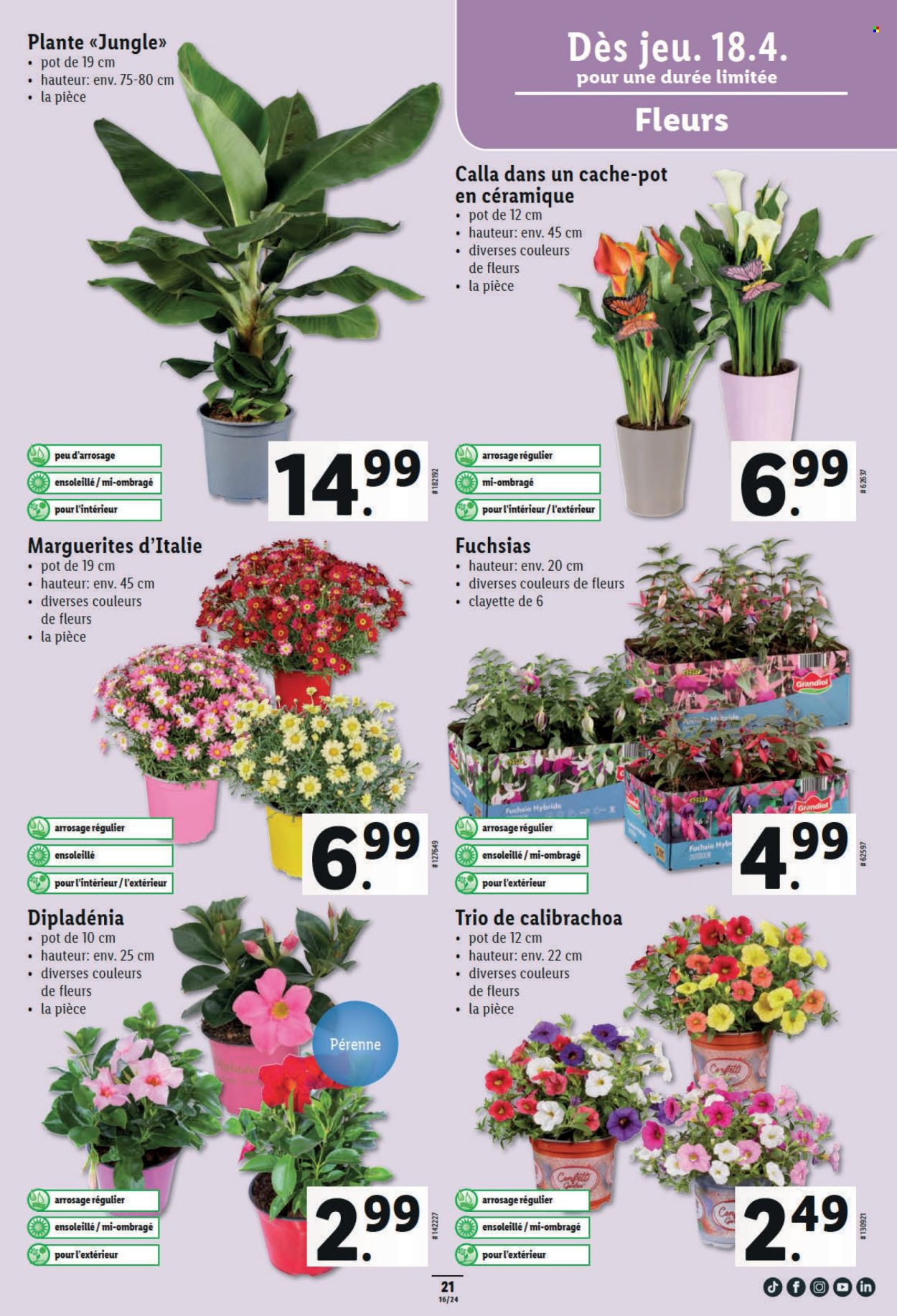 Catalogue Lidl - 18.4.2024 - 24.4.2024. Page 23.