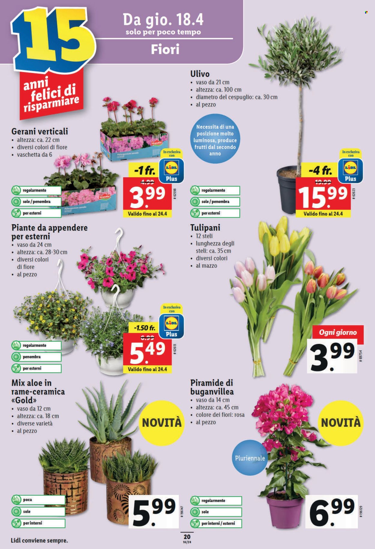 Catalogue Lidl - 18.4.2024 - 24.4.2024. Page 22.