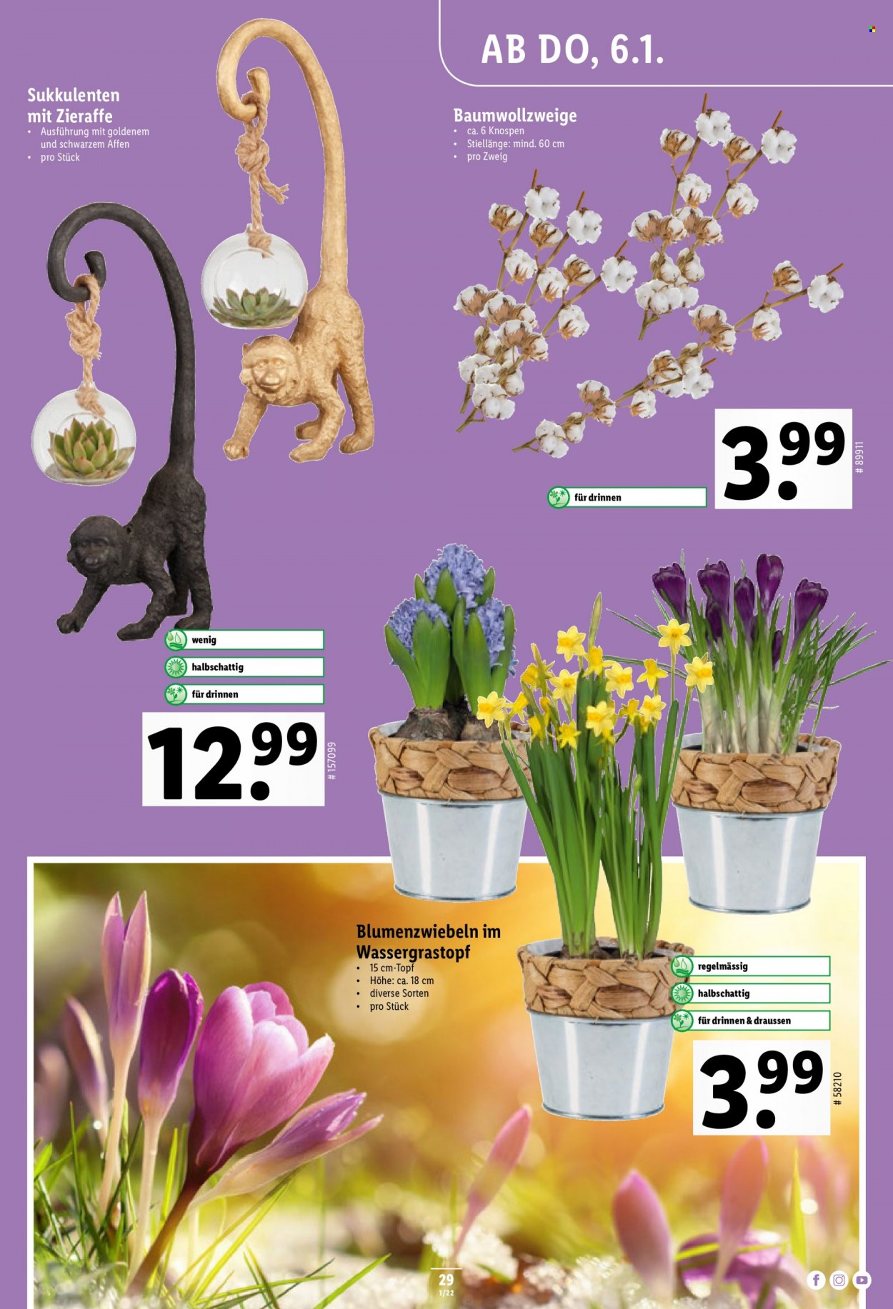 Catalogue Lidl - 6.1.2022 - 12.1.2022. Page 29.