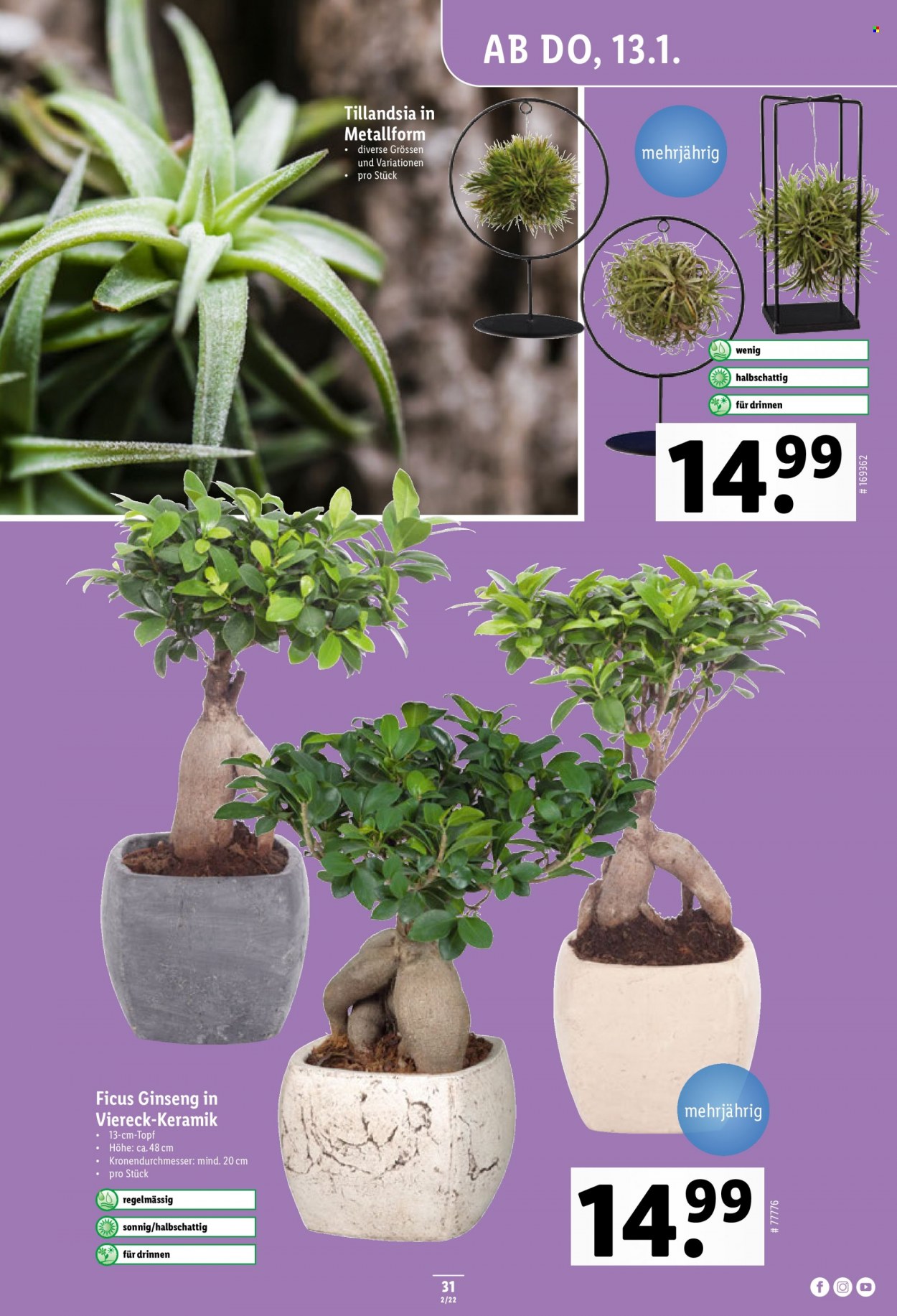 Catalogue Lidl - 13.1.2022 - 19.1.2022. Page 31.