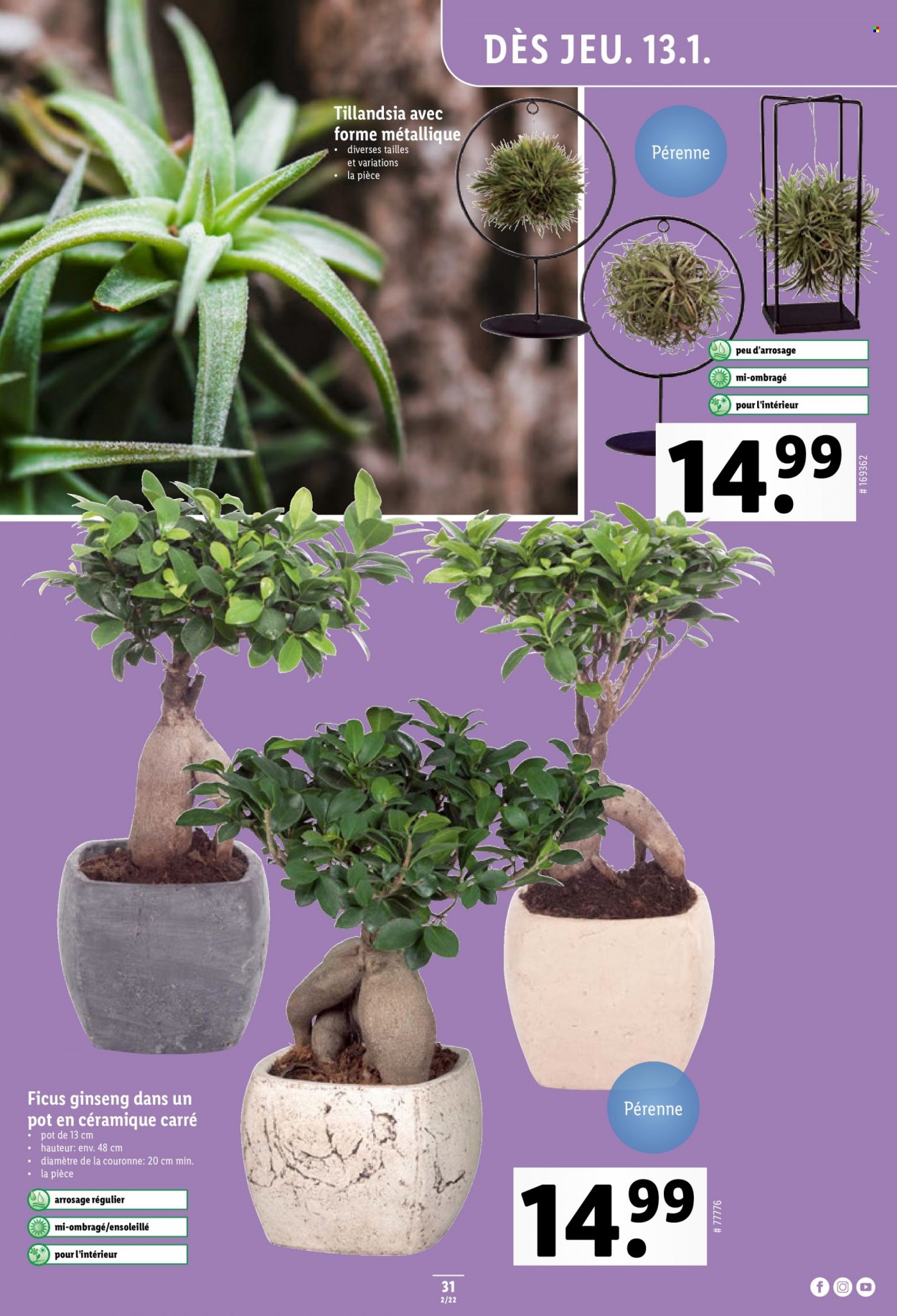 Catalogue Lidl - 13.1.2022 - 19.1.2022. Page 31.