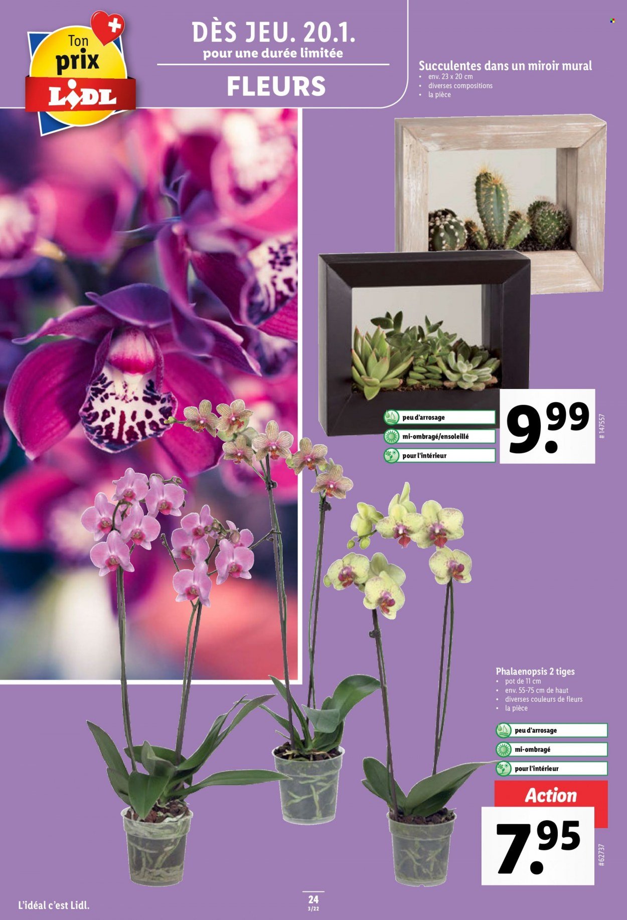 Catalogue Lidl - 20.1.2022 - 26.1.2022. Page 24.