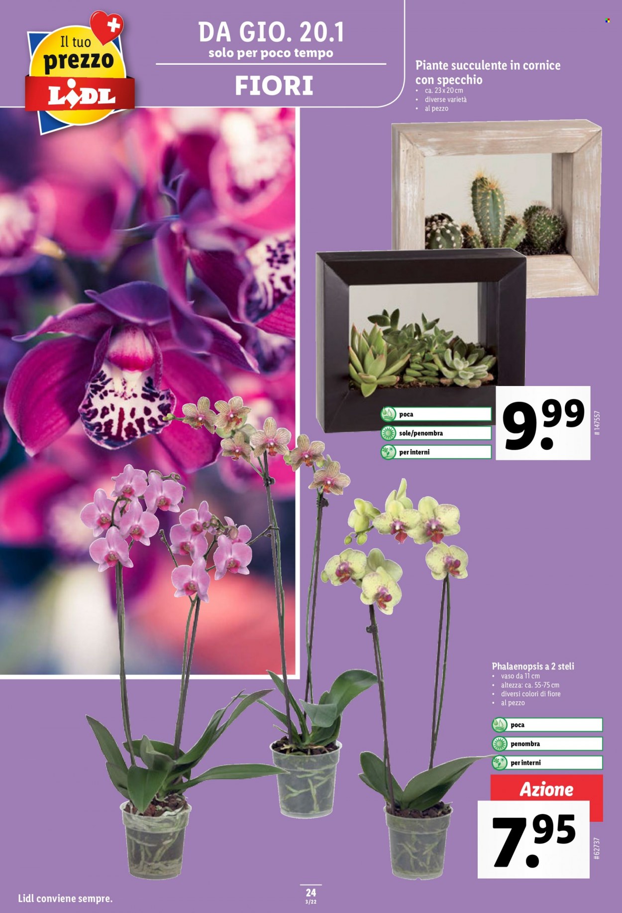 Catalogue Lidl - 20.1.2022 - 26.1.2022. Page 24.