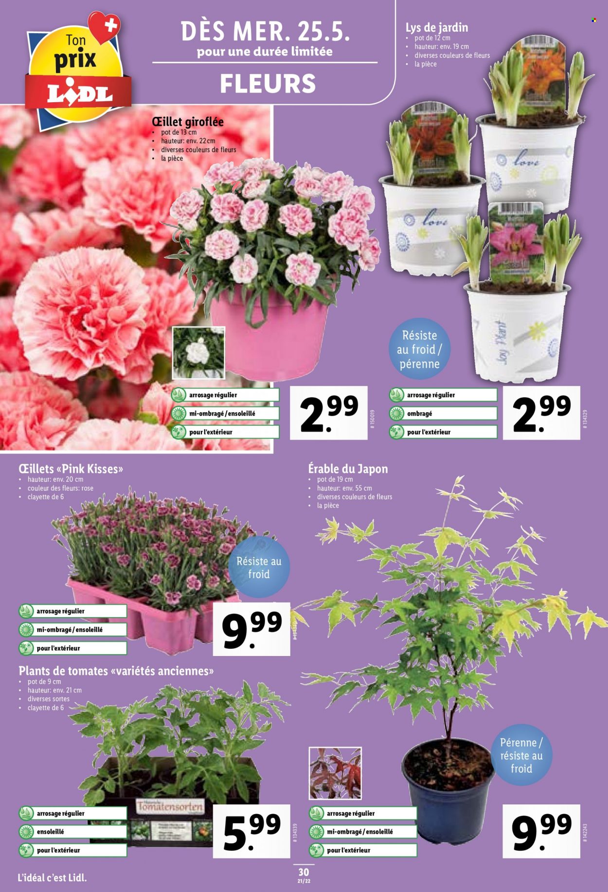 Catalogue Lidl - 25.5.2022 - 1.6.2022. Page 30.