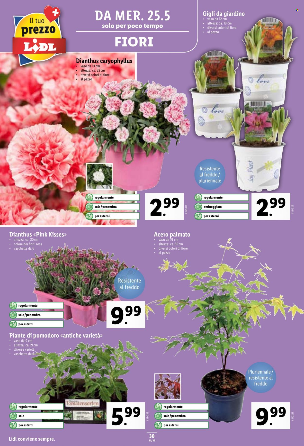 Catalogue Lidl - 25.5.2022 - 1.6.2022. Page 30.