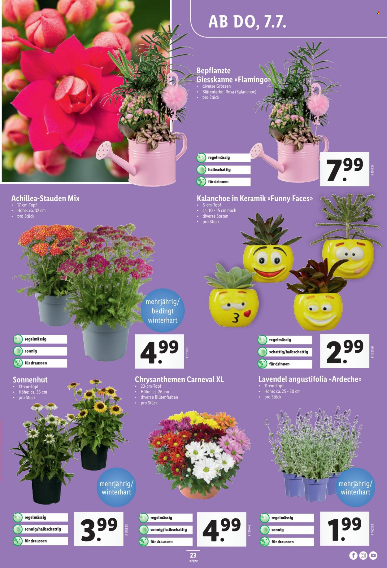 Catalogue Lidl - 7.7.2022 - 13.7.2022. Page 23.
