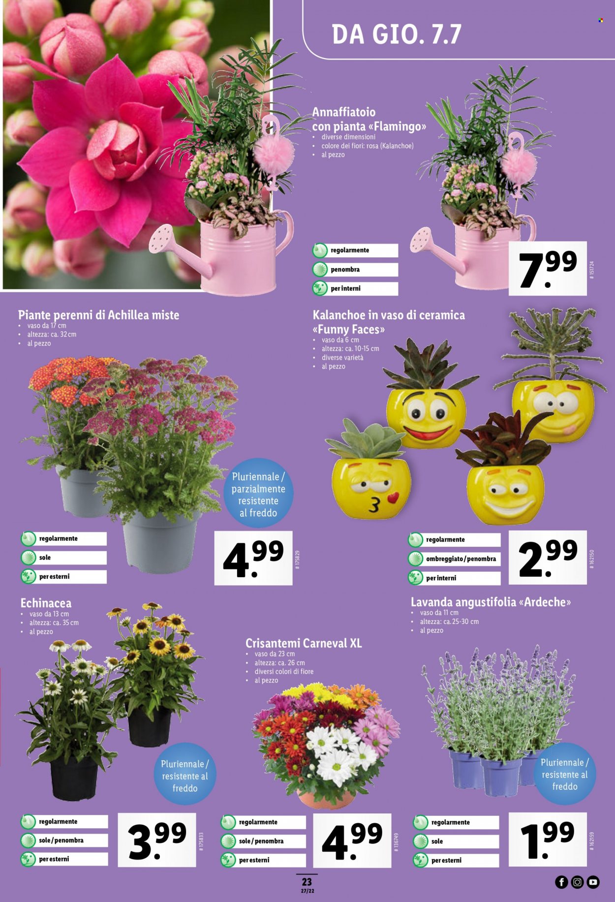 Catalogue Lidl - 7.7.2022 - 13.7.2022. Page 23.