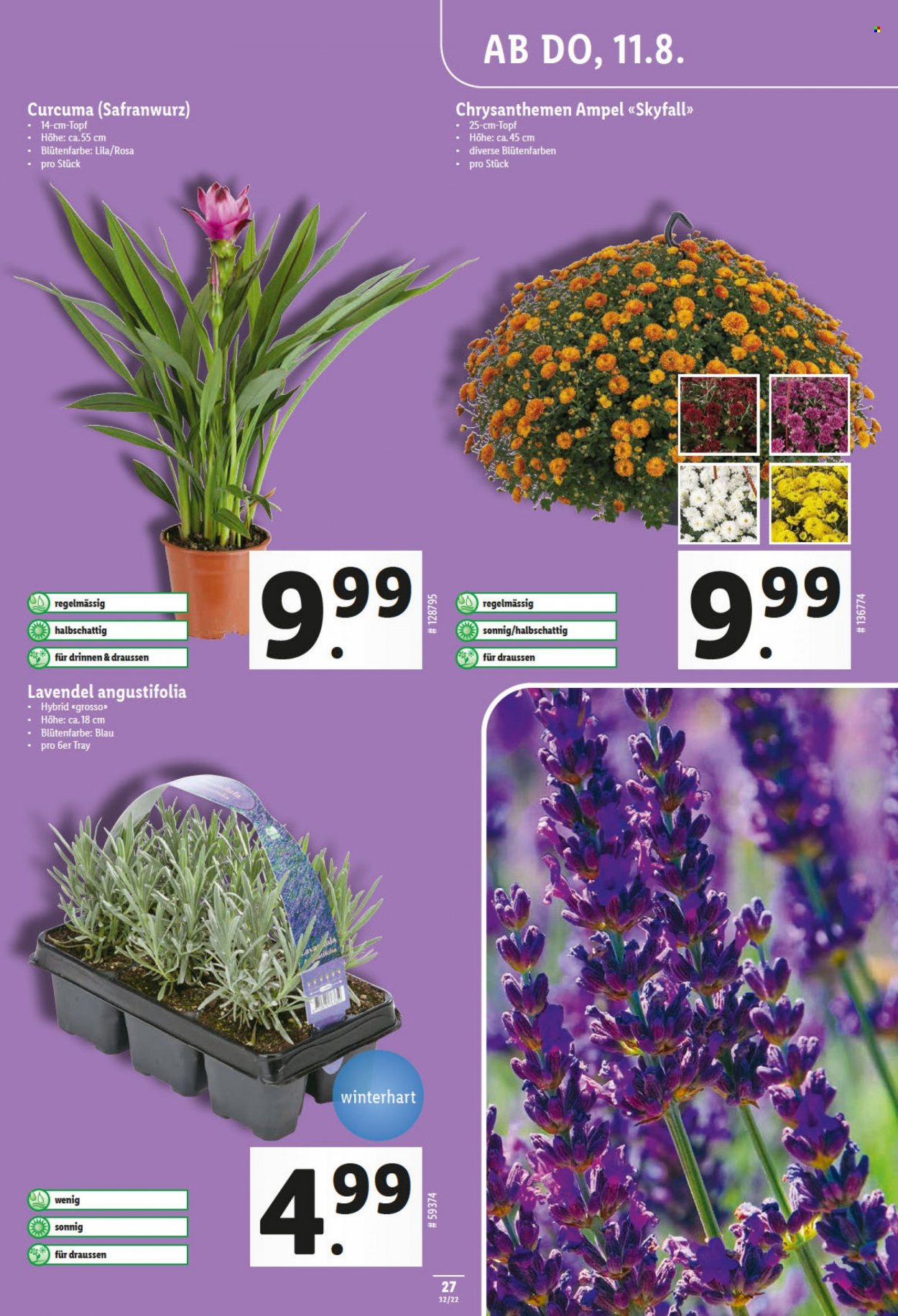 Catalogue Lidl - 11.8.2022 - 17.8.2022. Page 27.