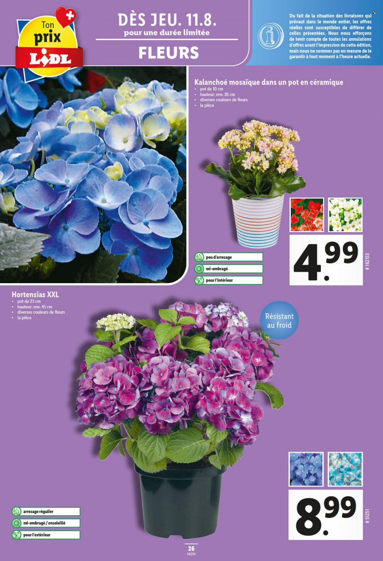 Catalogue Lidl - 11.8.2022 - 17.8.2022. Page 26.