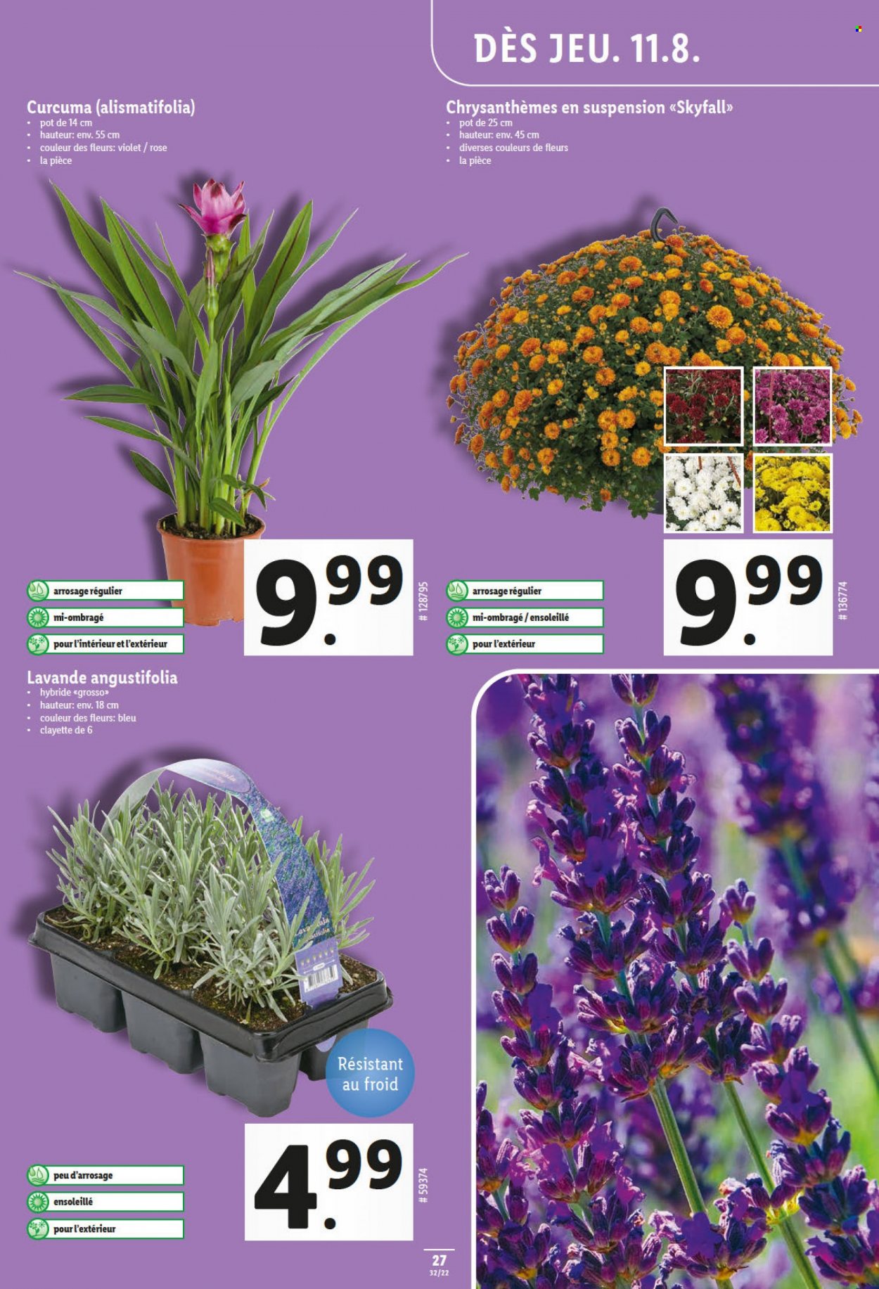 Catalogue Lidl - 11.8.2022 - 17.8.2022. Page 27.