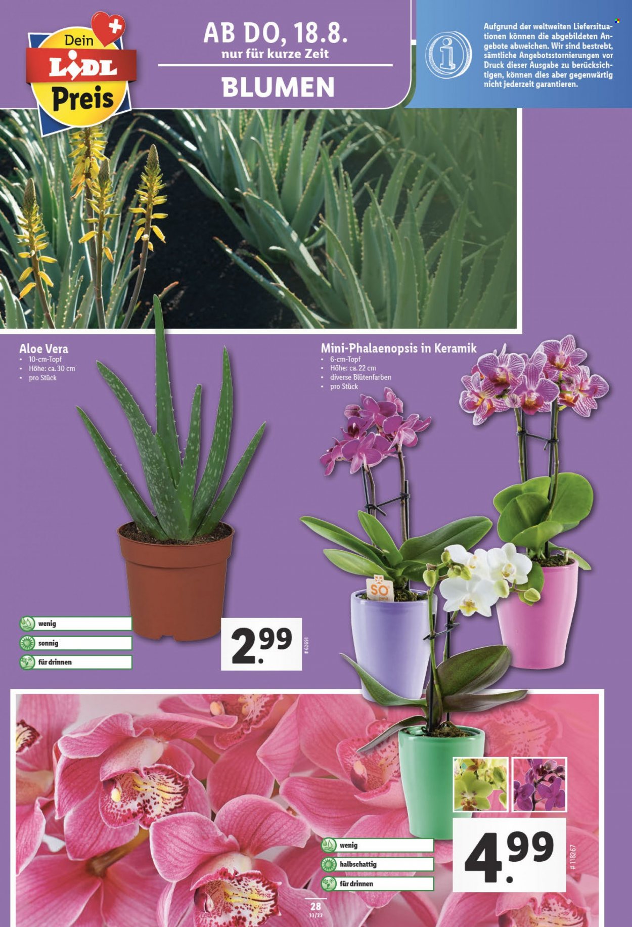 Catalogue Lidl - 18.8.2022 - 24.8.2022. Page 28.