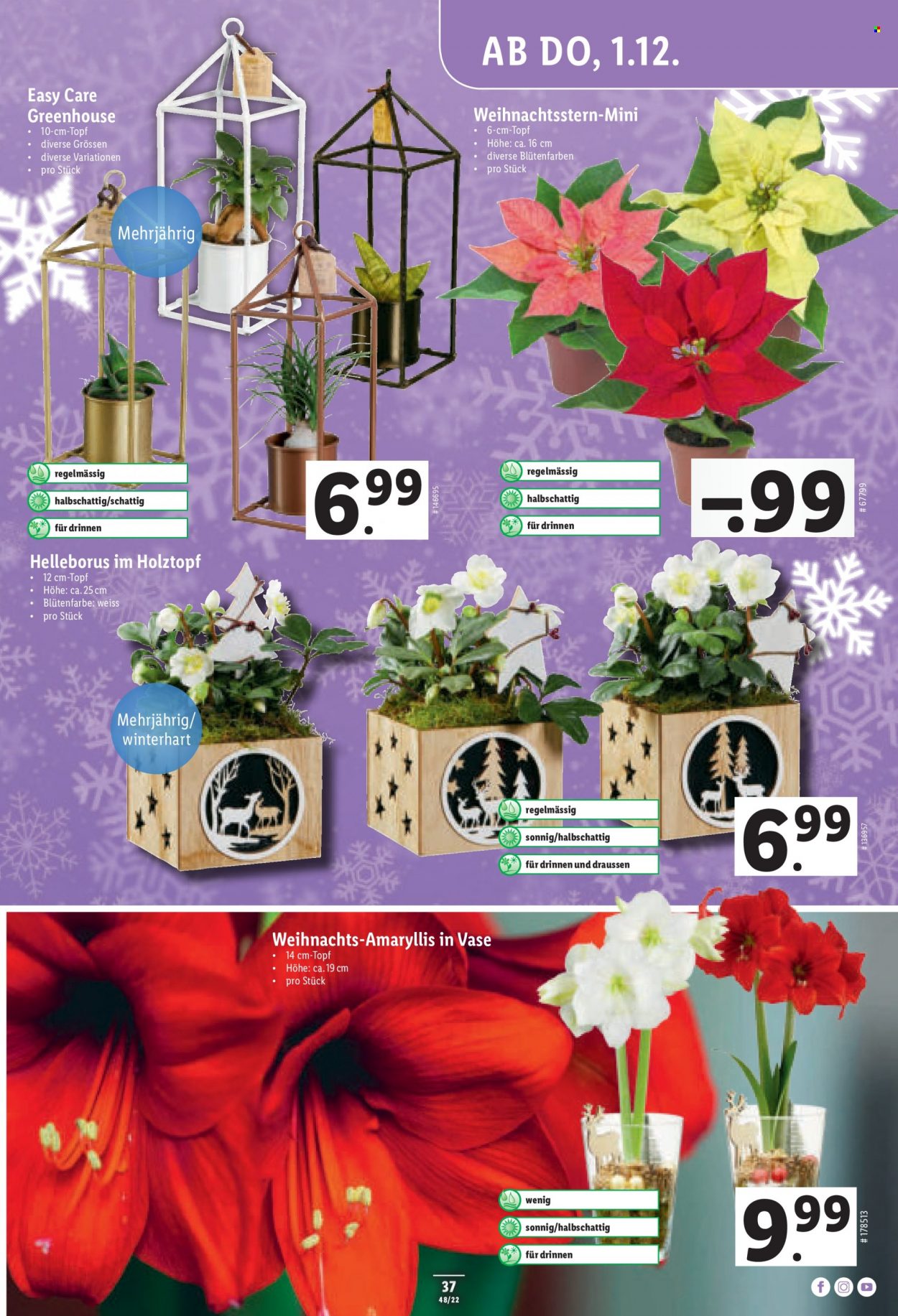 Catalogue Lidl - 1.12.2022 - 7.12.2022. Page 37.