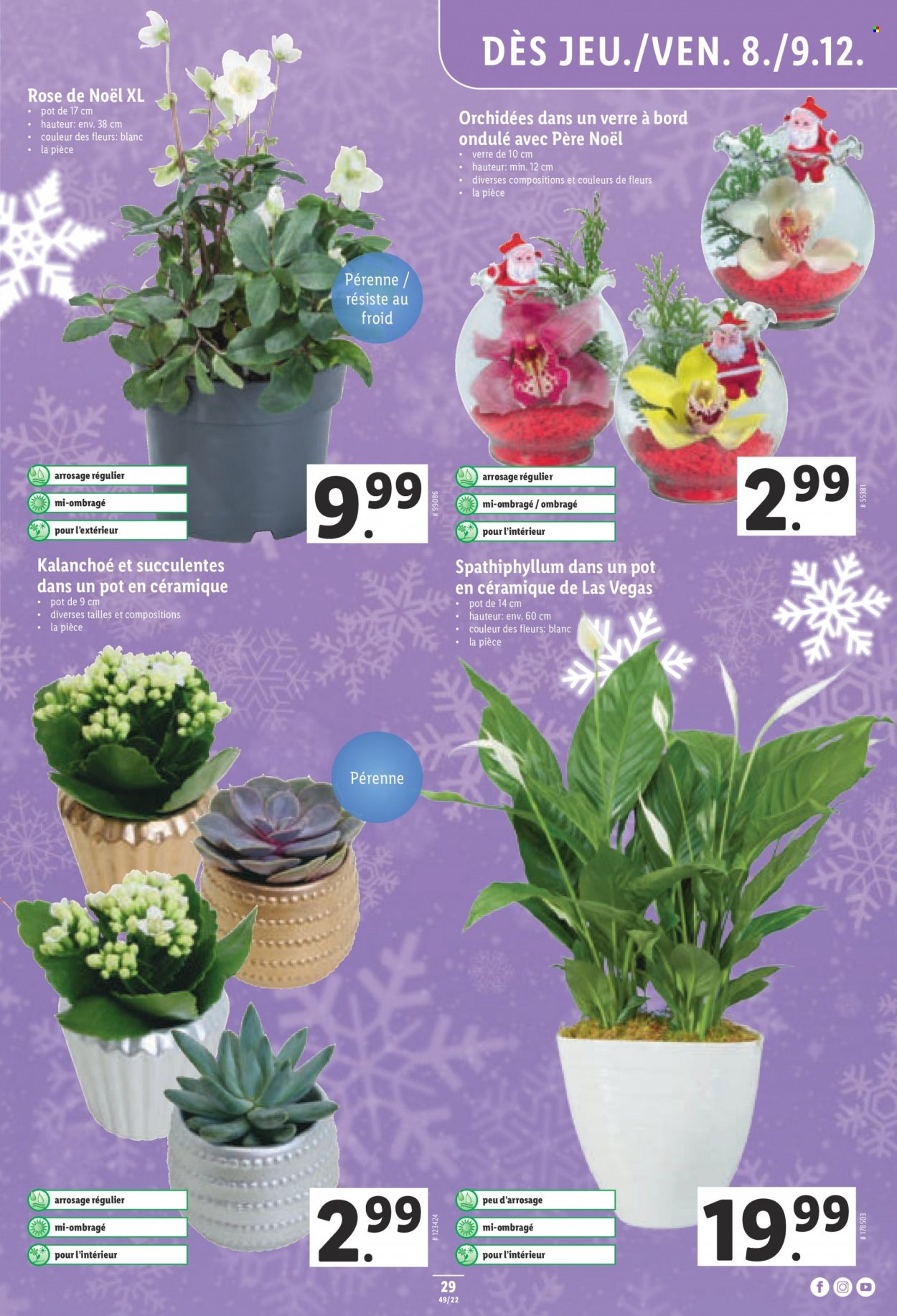 Catalogue Lidl - 8.12.2022 - 14.12.2022. Page 29.