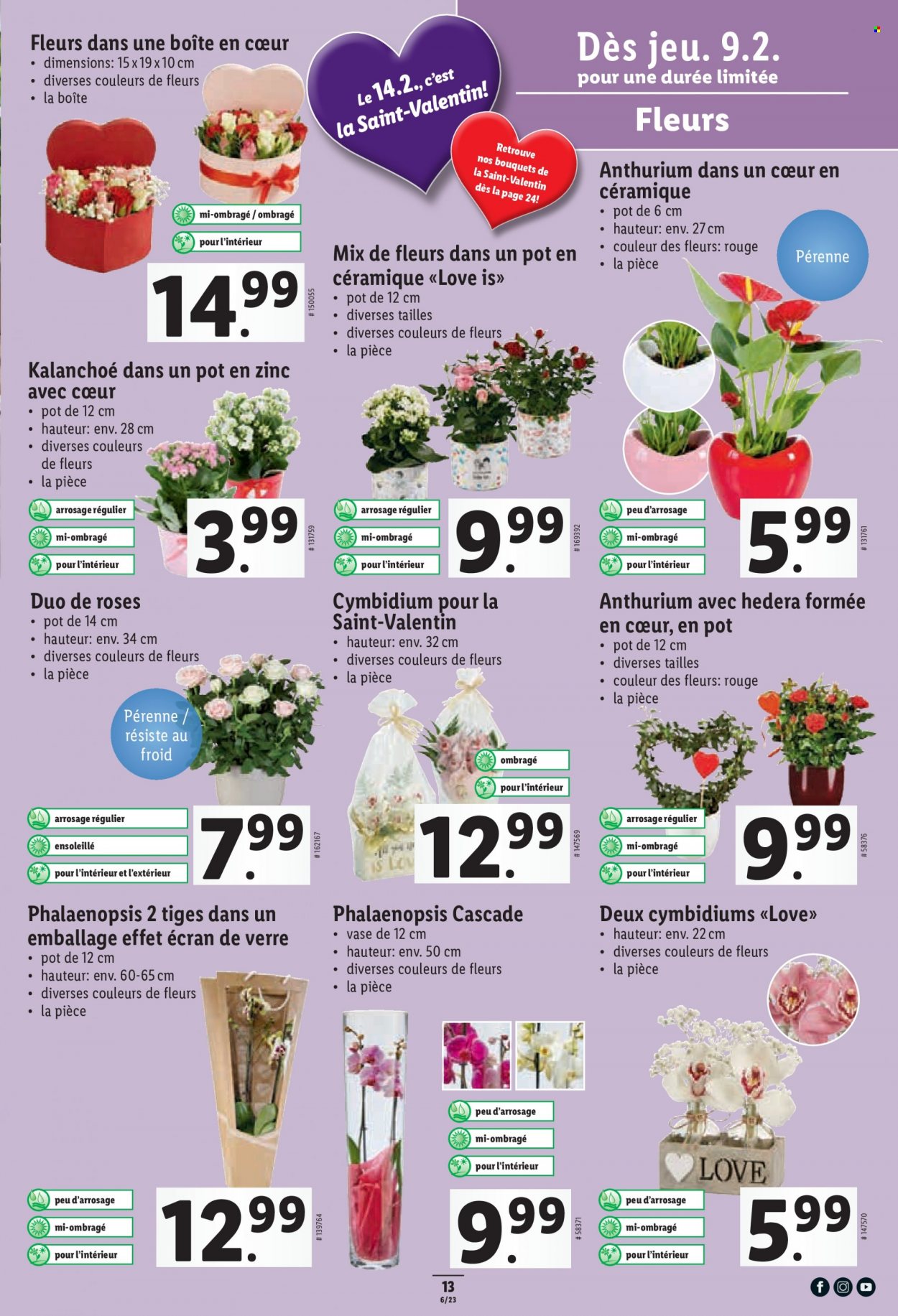 Catalogue Lidl - 9.2.2023 - 15.2.2023. Page 13.