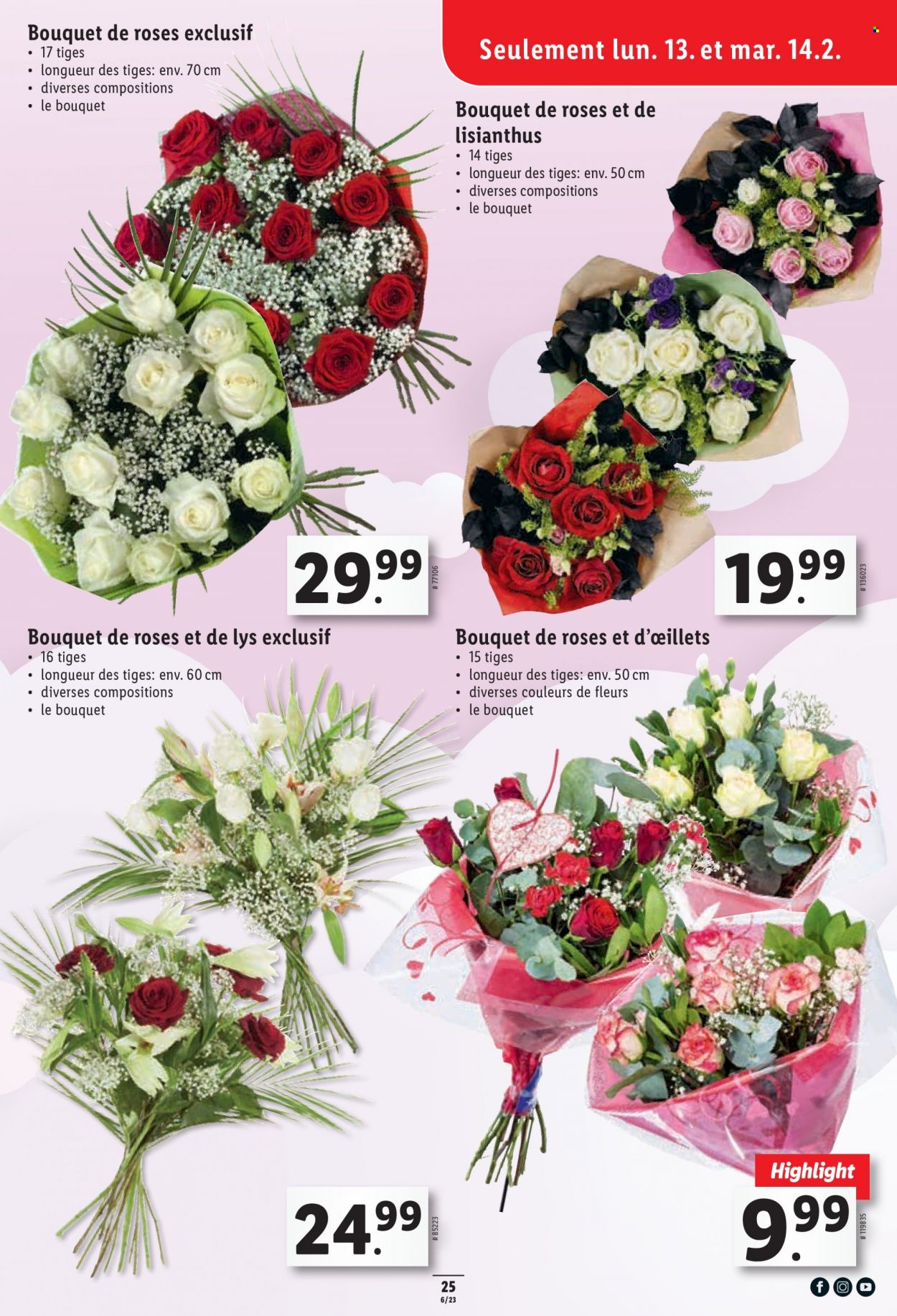Catalogue Lidl - 9.2.2023 - 15.2.2023. Page 25.