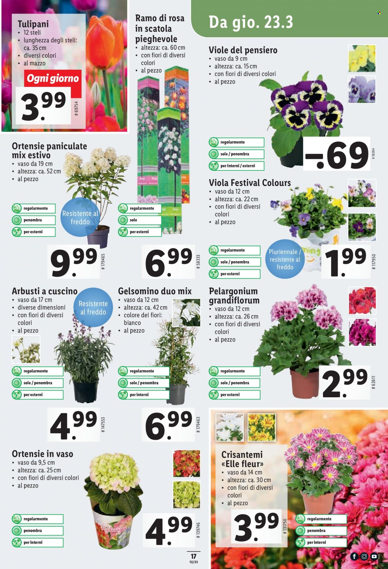 Catalogue Lidl - 23.3.2023 - 29.3.2023. Page 17.