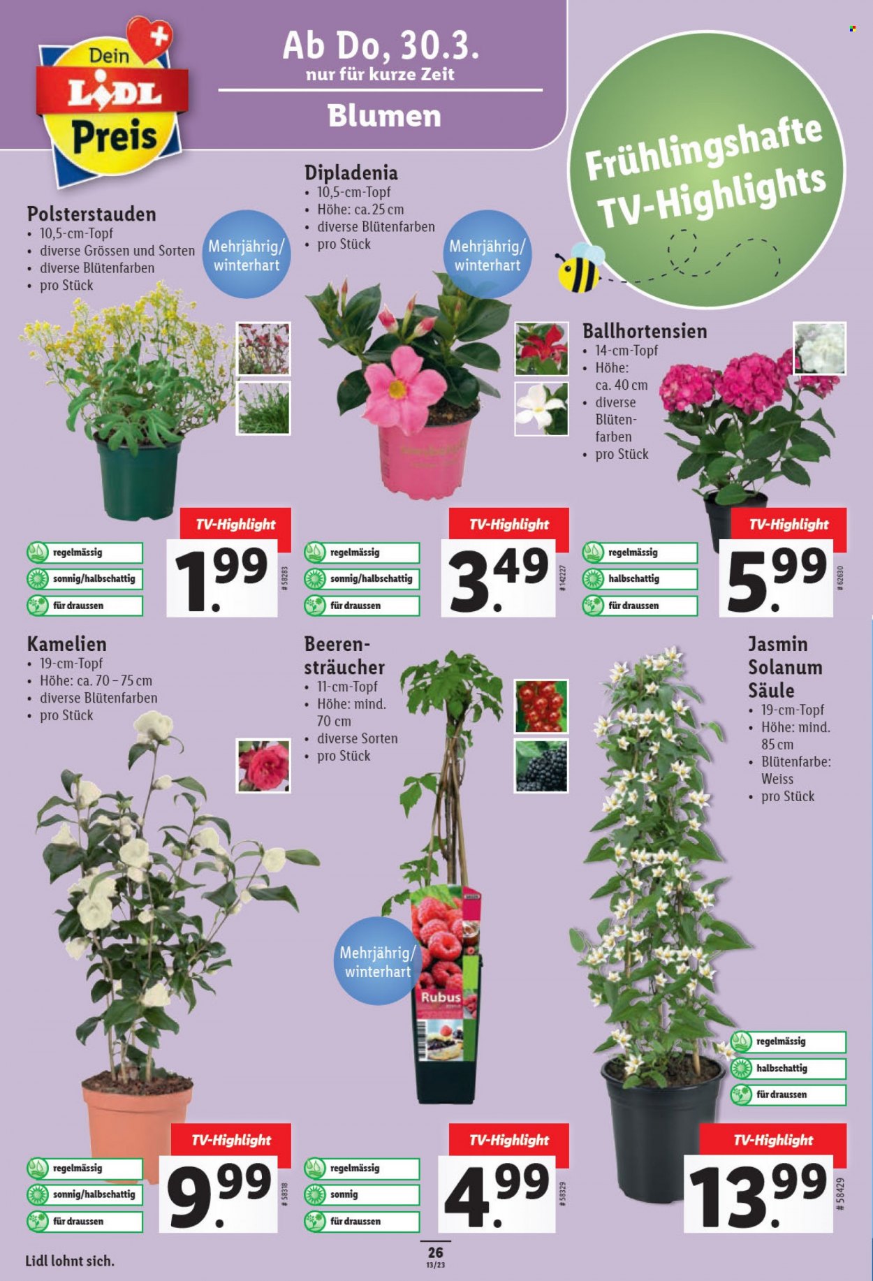Catalogue Lidl - 30.3.2023 - 4.4.2023. Page 26.