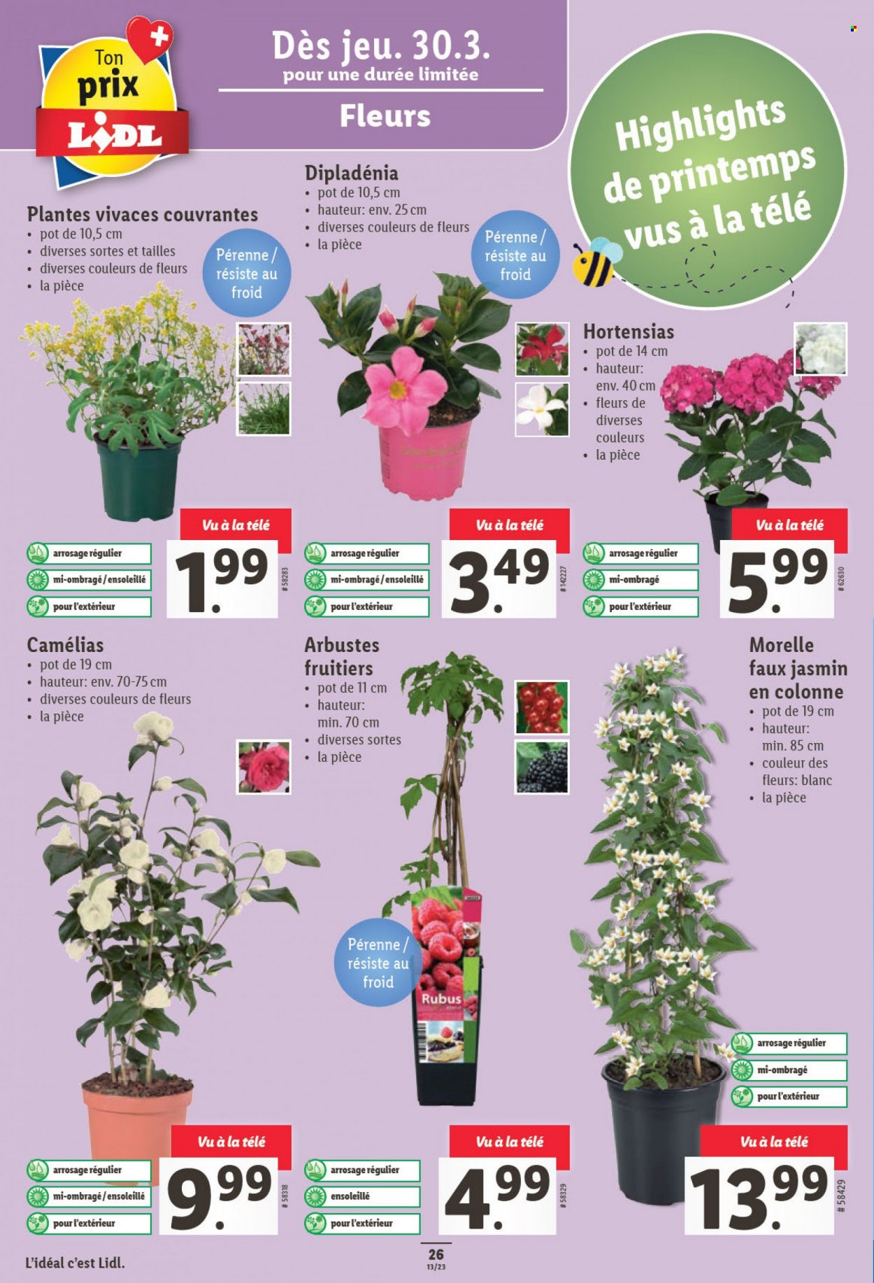 Catalogue Lidl - 30.3.2023 - 4.4.2023. Page 26.