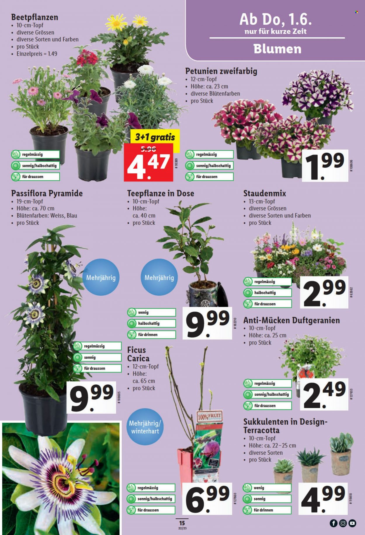 Catalogue Lidl - 1.6.2023 - 7.6.2023. Page 15.