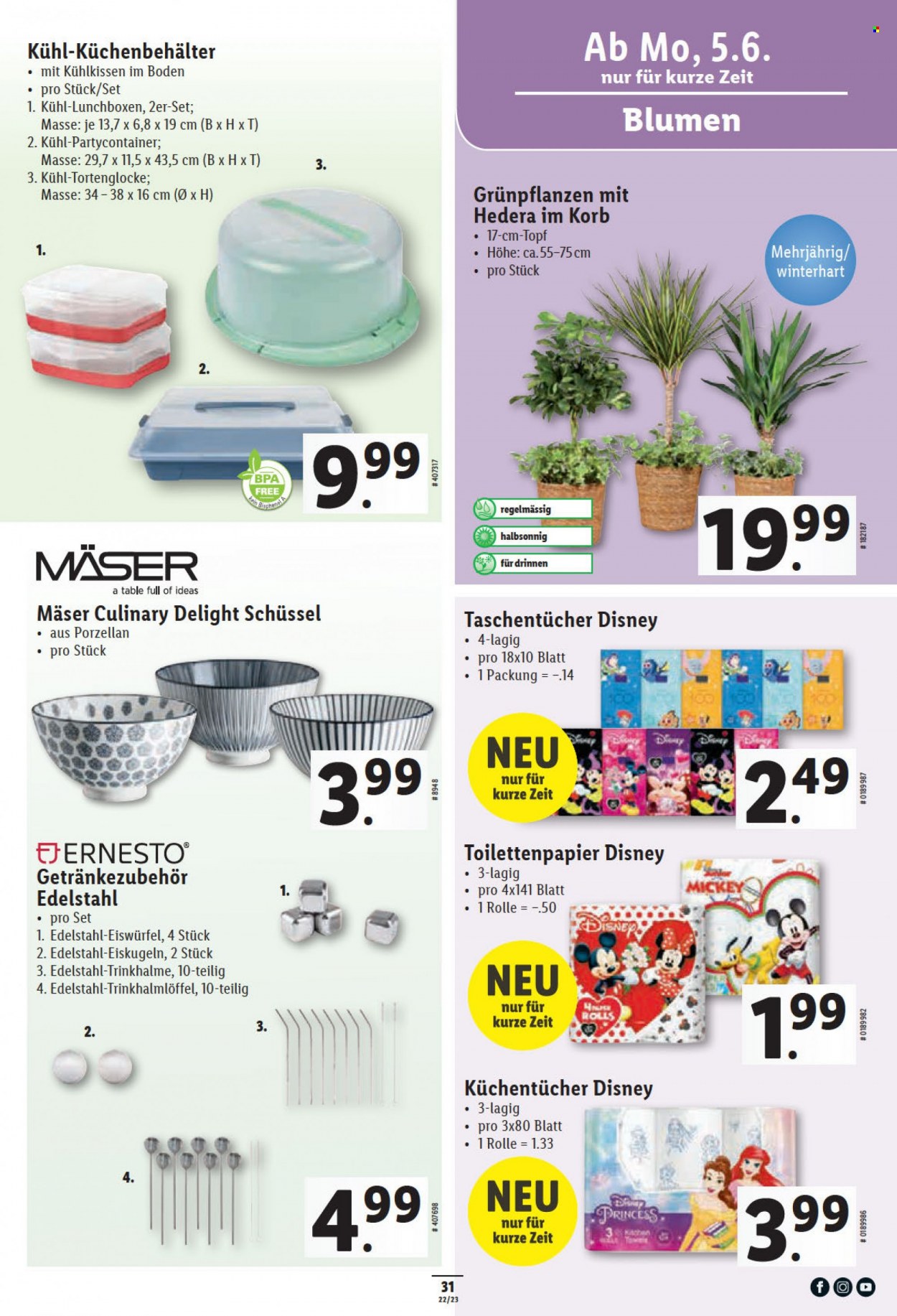 Catalogue Lidl - 1.6.2023 - 7.6.2023. Page 31.