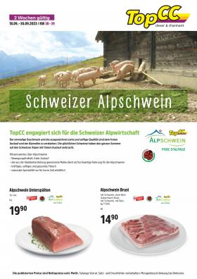 TopCC - Schweizer Alpschwein