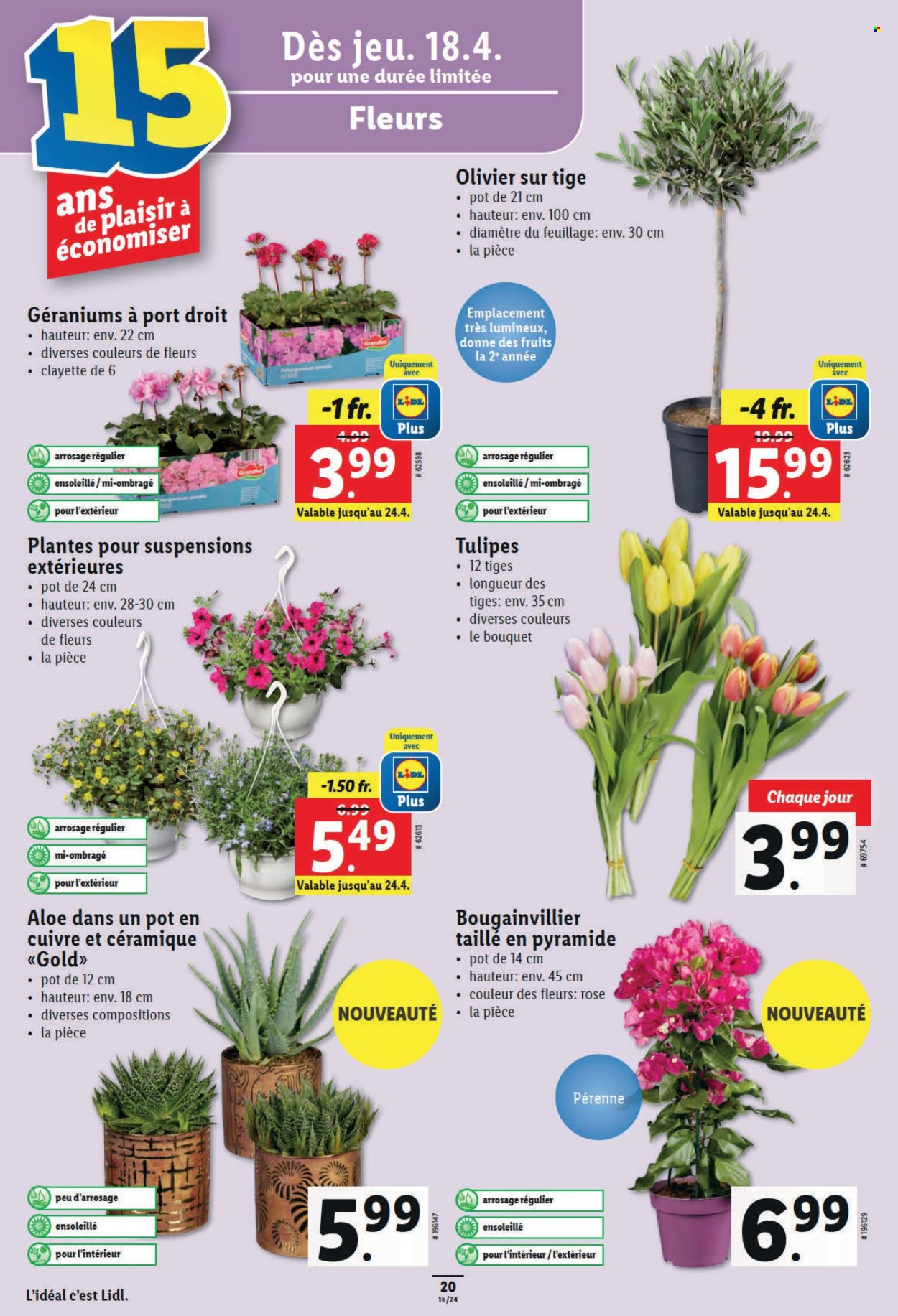 Catalogue Lidl - 18.4.2024 - 24.4.2024. Page 22.