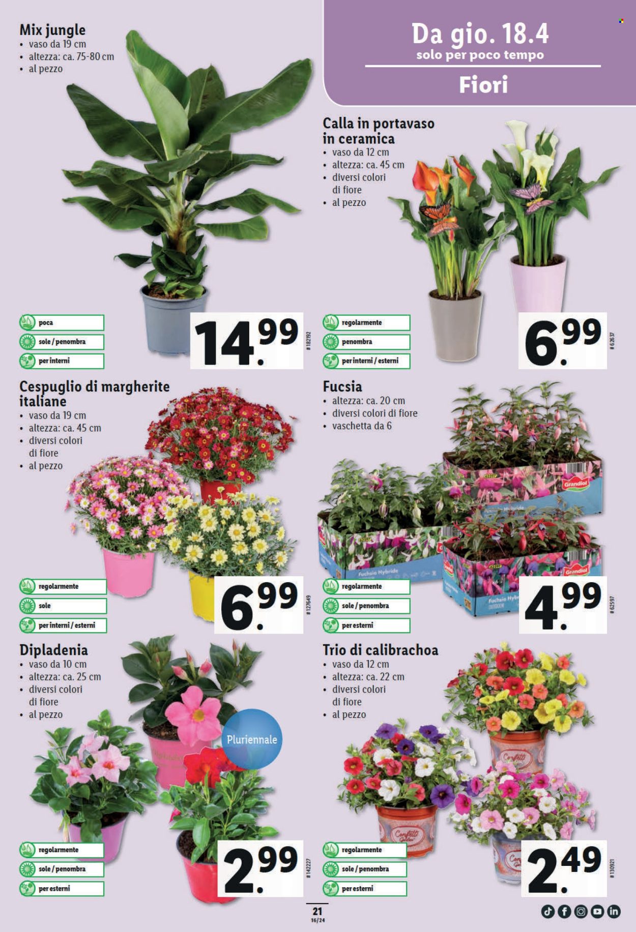 Catalogue Lidl - 18.4.2024 - 24.4.2024. Page 23.
