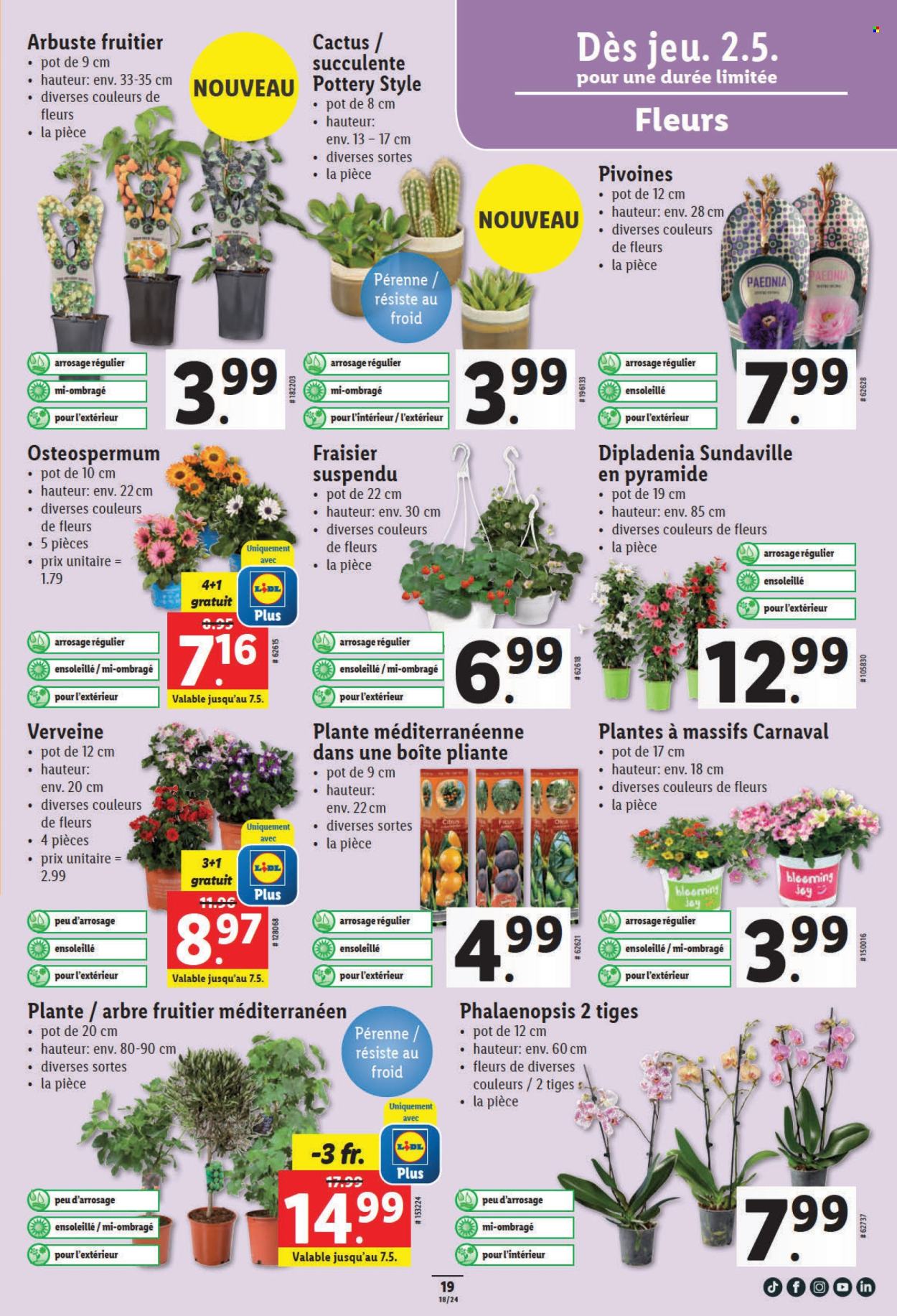 Catalogue Lidl - 2.5.2024 - 7.5.2024. Page 21.