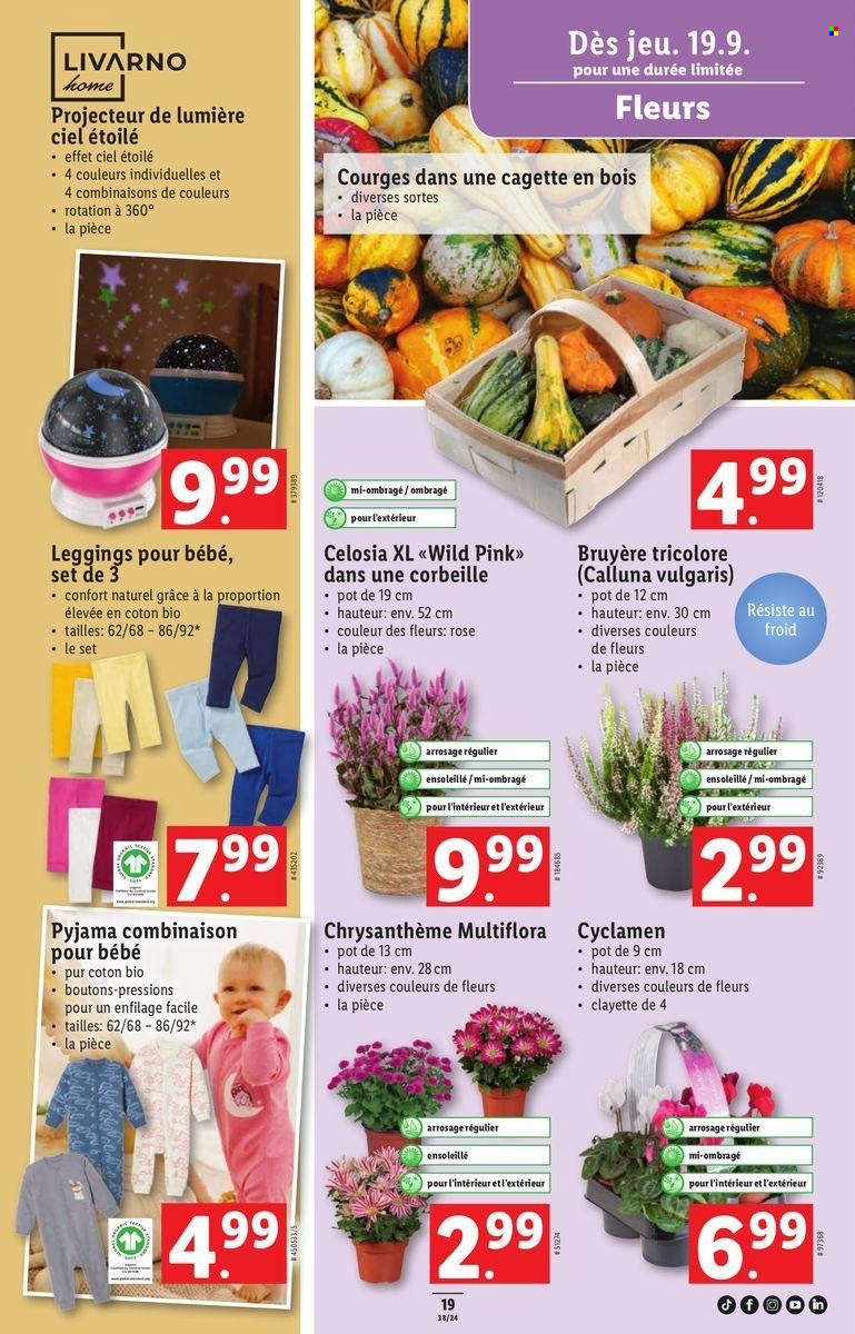 Catalogue Lidl - 19.9.2024 - 25.9.2024. Page 19.