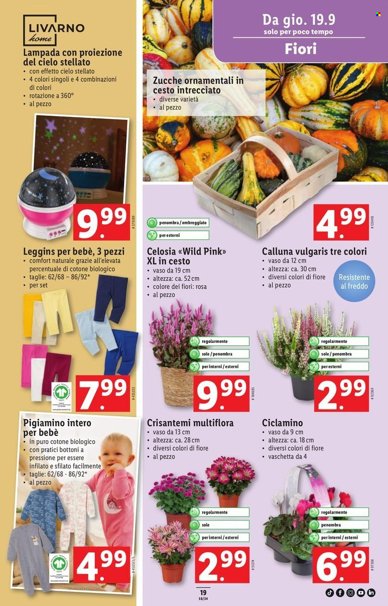 Catalogue Lidl - 19.9.2024 - 25.9.2024. Page 19.