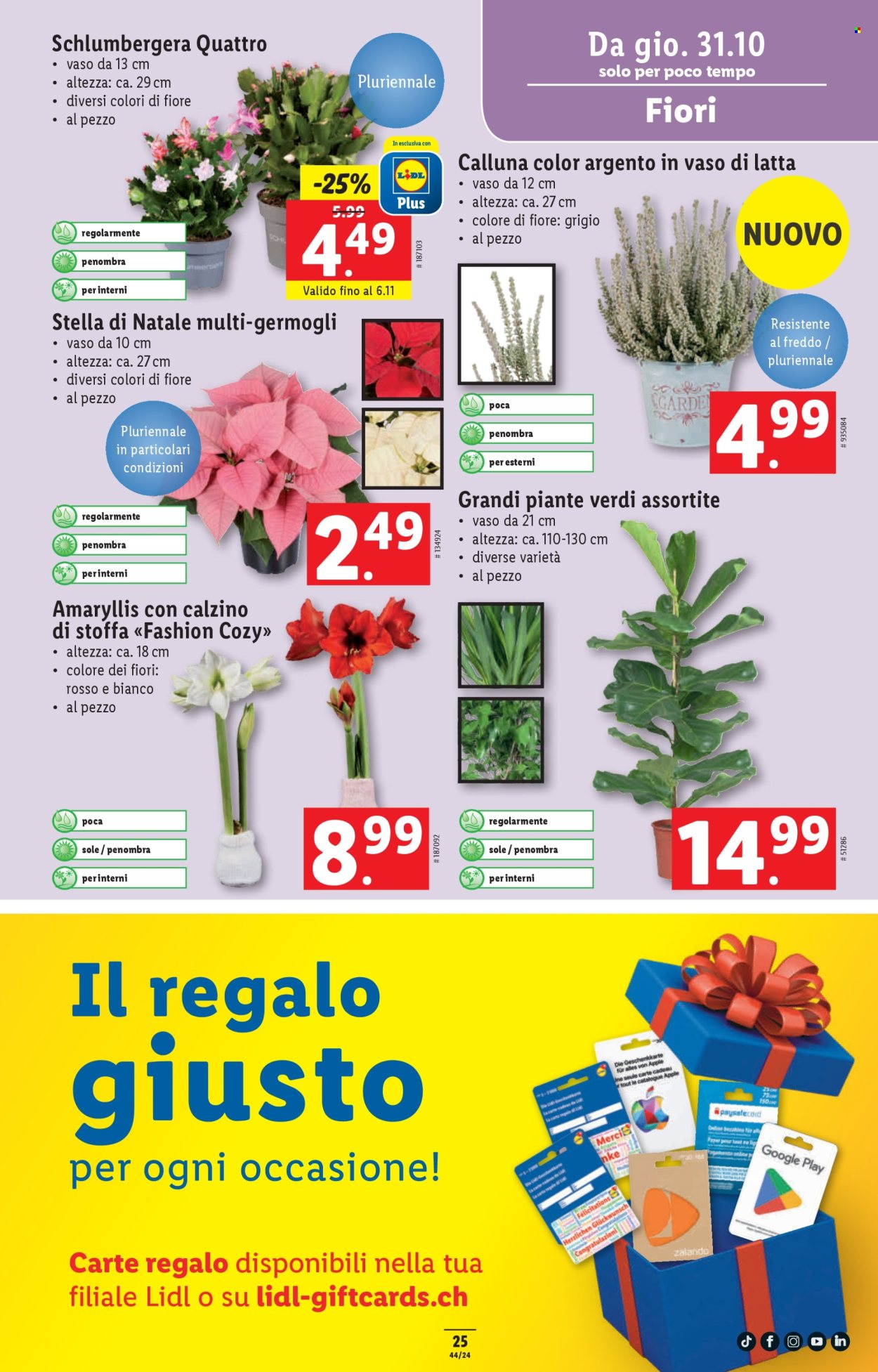 Catalogue Lidl - 31.10.2024 - 6.11.2024. Page 25.