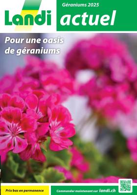 Landi - Géraniums