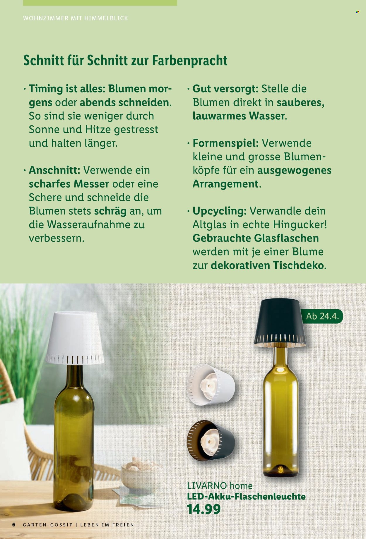 Catalogue Lidl. Page 6.