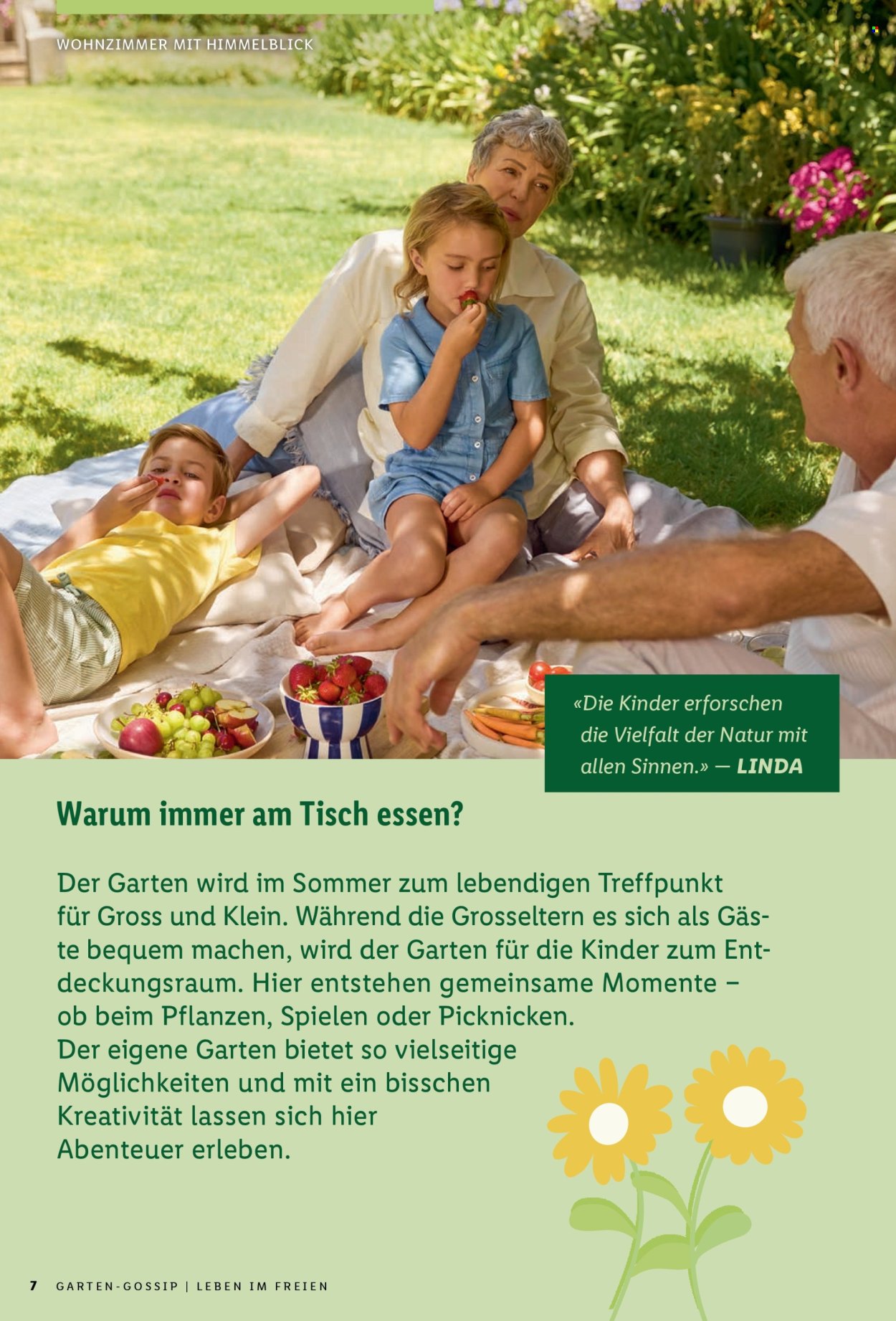 Catalogue Lidl. Page 7.