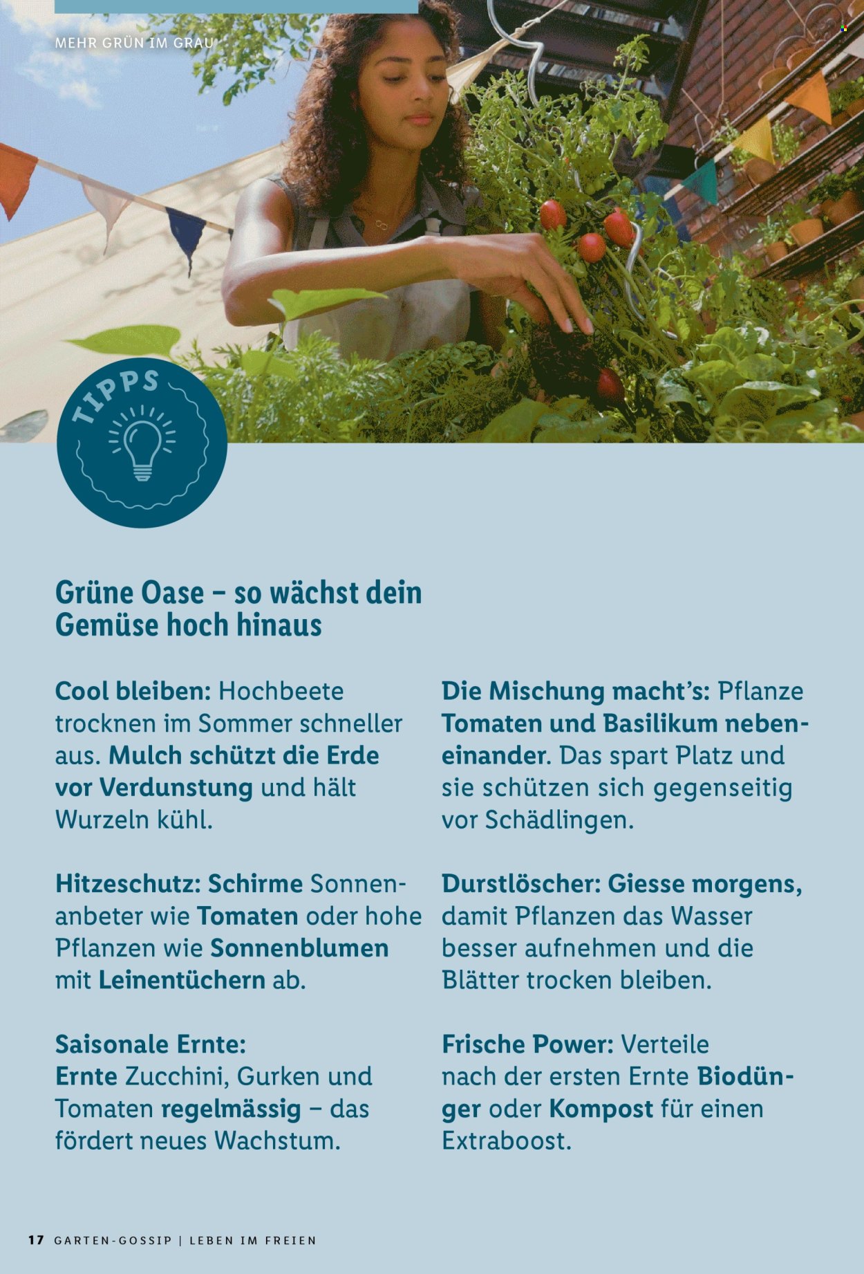 Catalogue Lidl. Page 17.