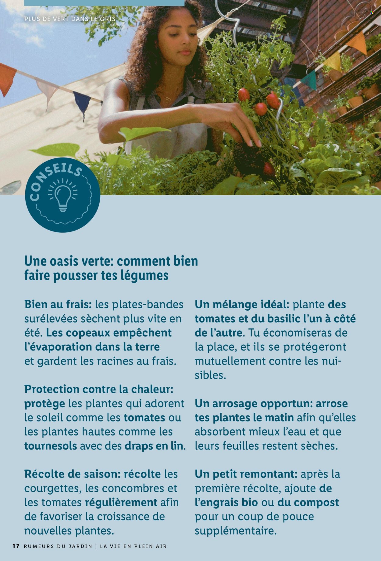 Catalogue Lidl. Page 17.