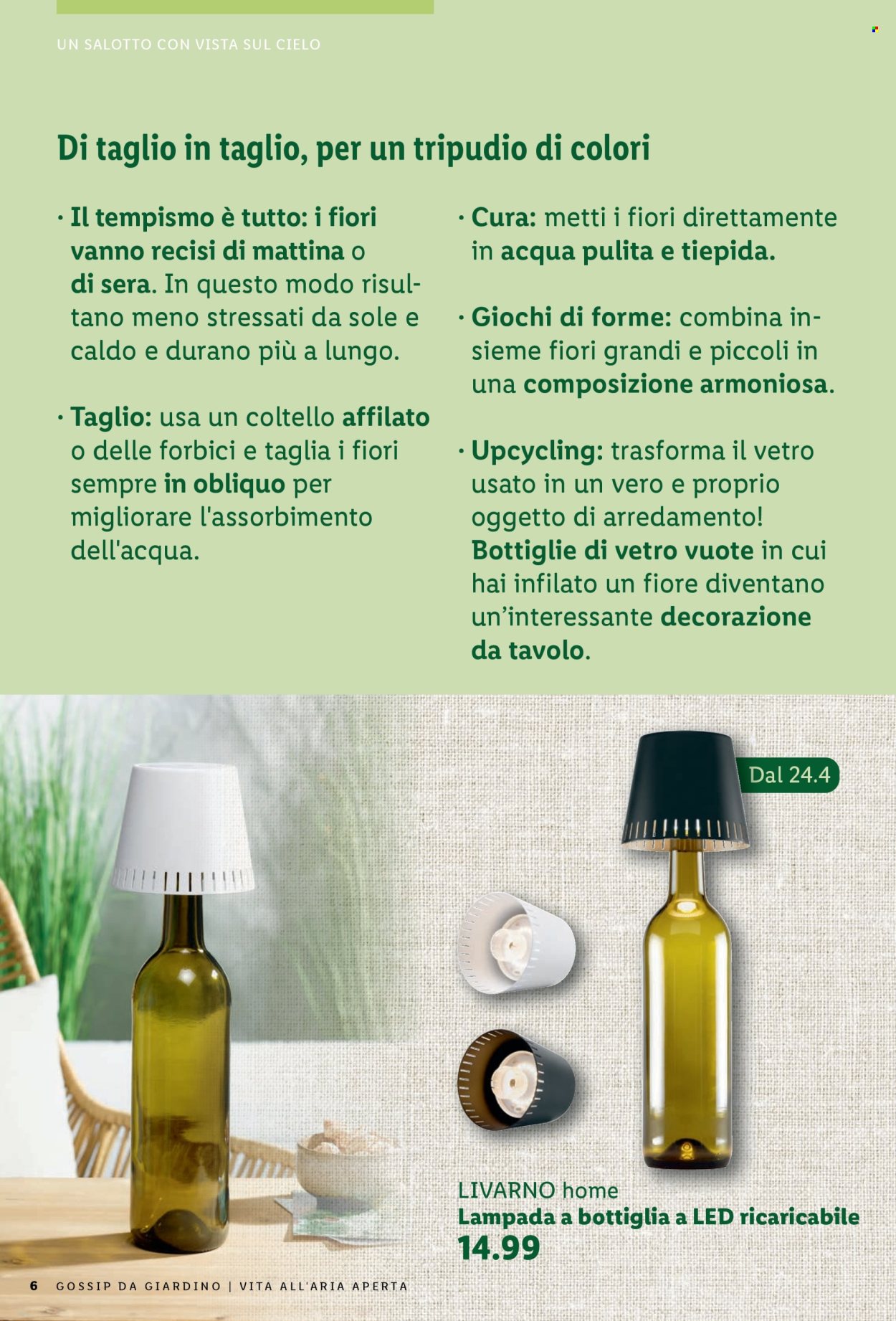 Catalogue Lidl. Page 6.