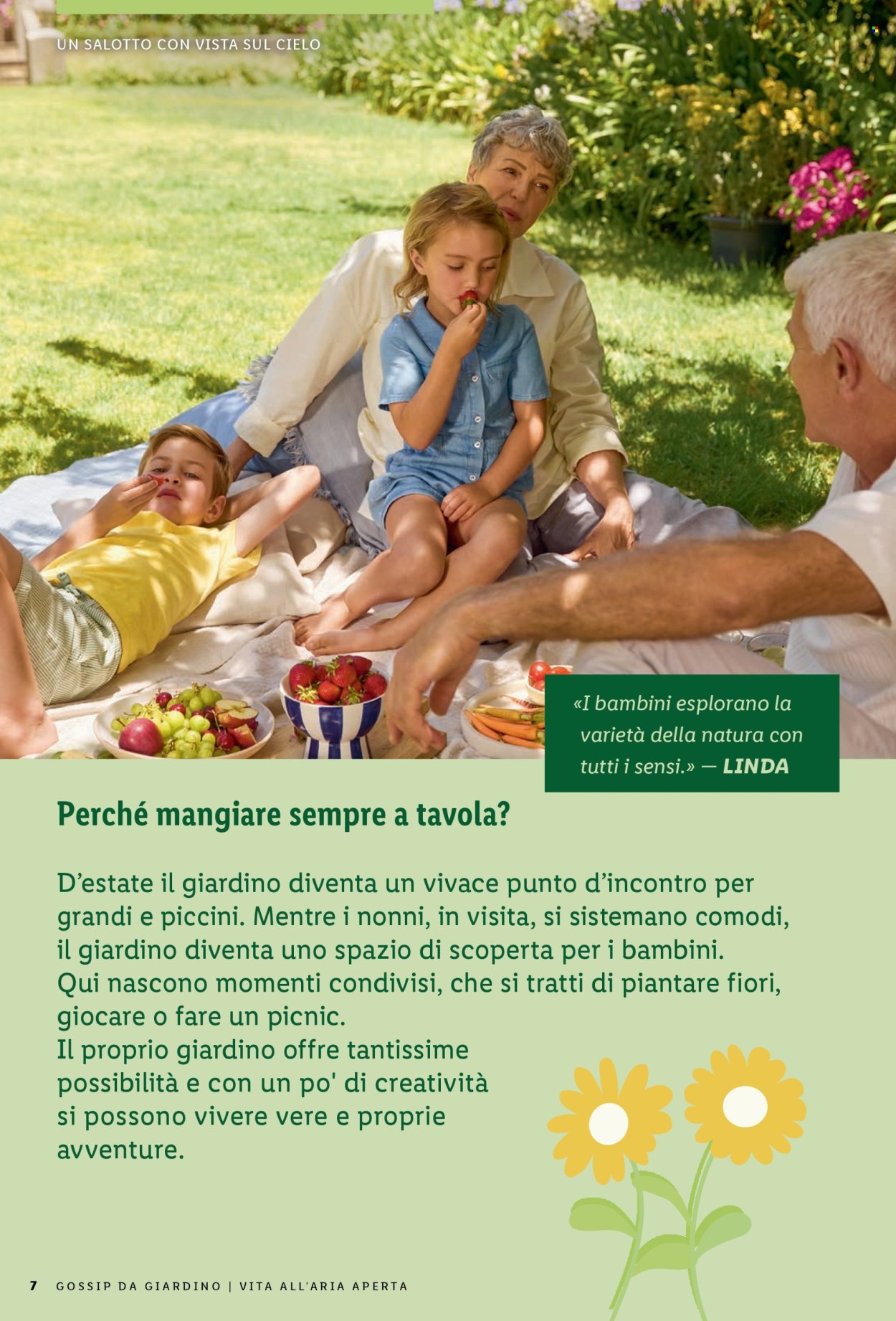 Catalogue Lidl. Page 7.
