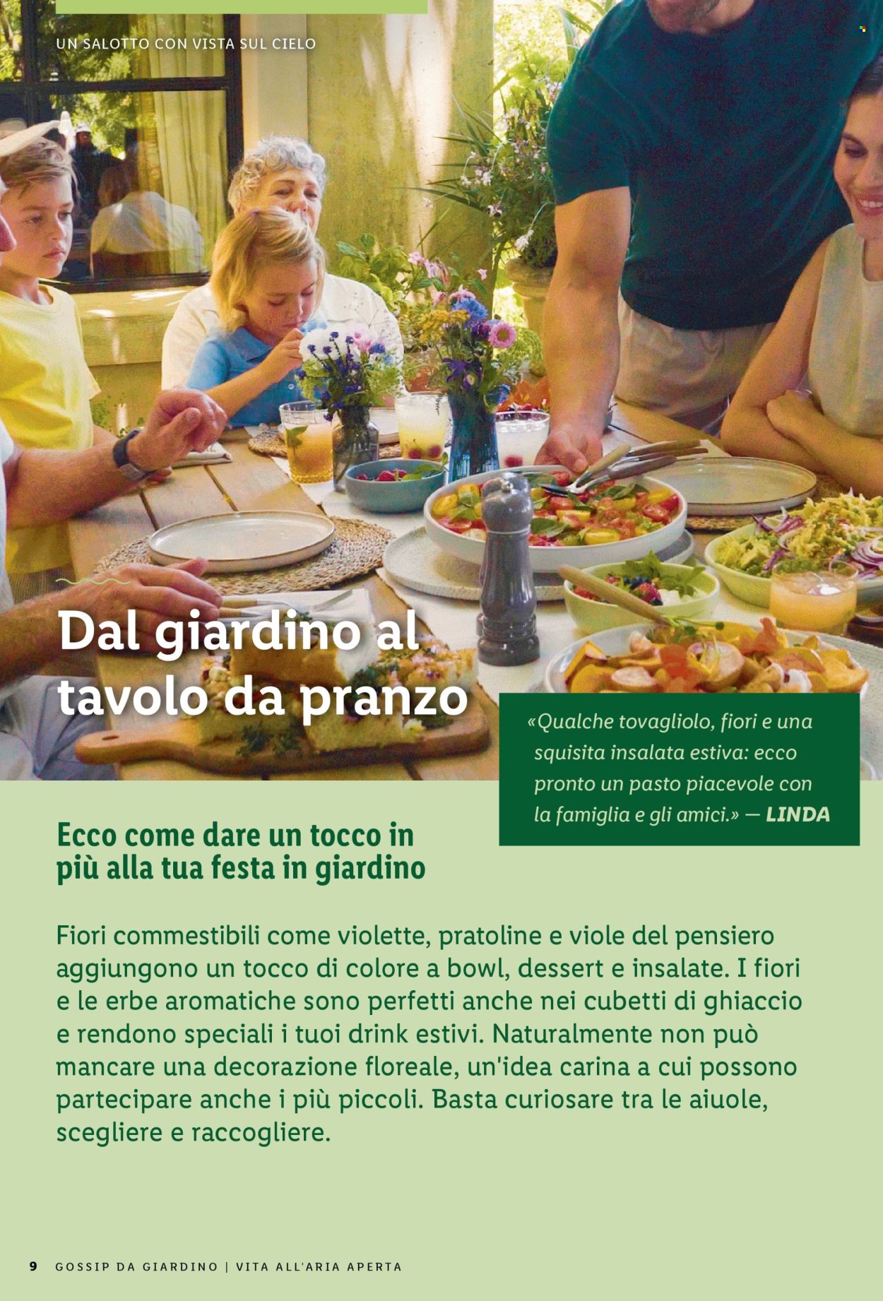 Catalogue Lidl. Page 9.