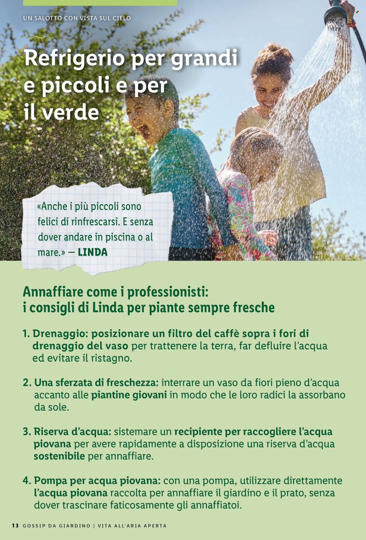 Catalogue Lidl. Page 13.