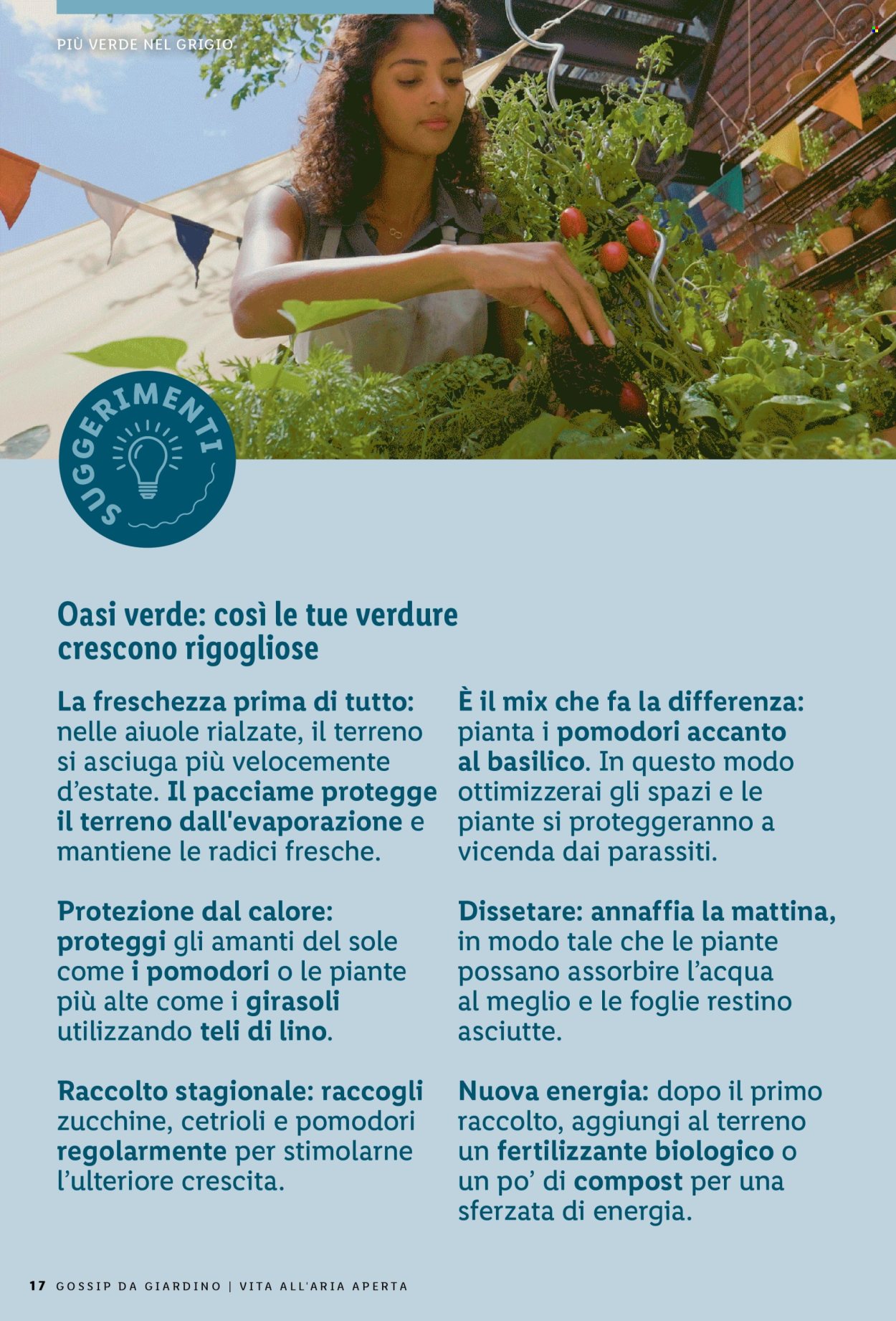 Catalogue Lidl. Page 17.