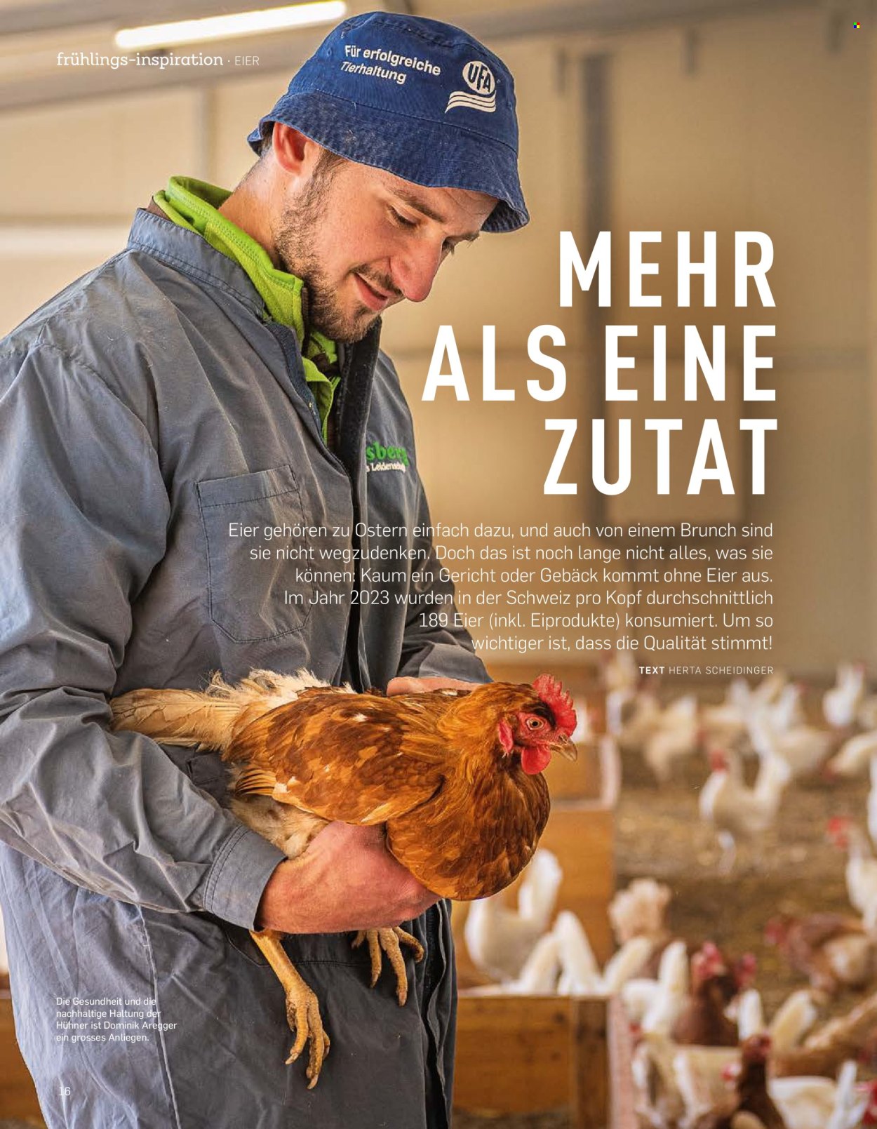 Catalogue Aldi. Page 16.