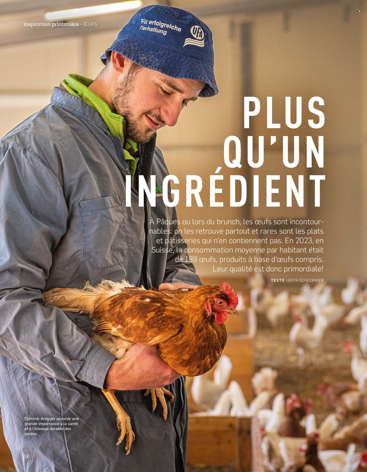 Catalogue Aldi. Page 16.