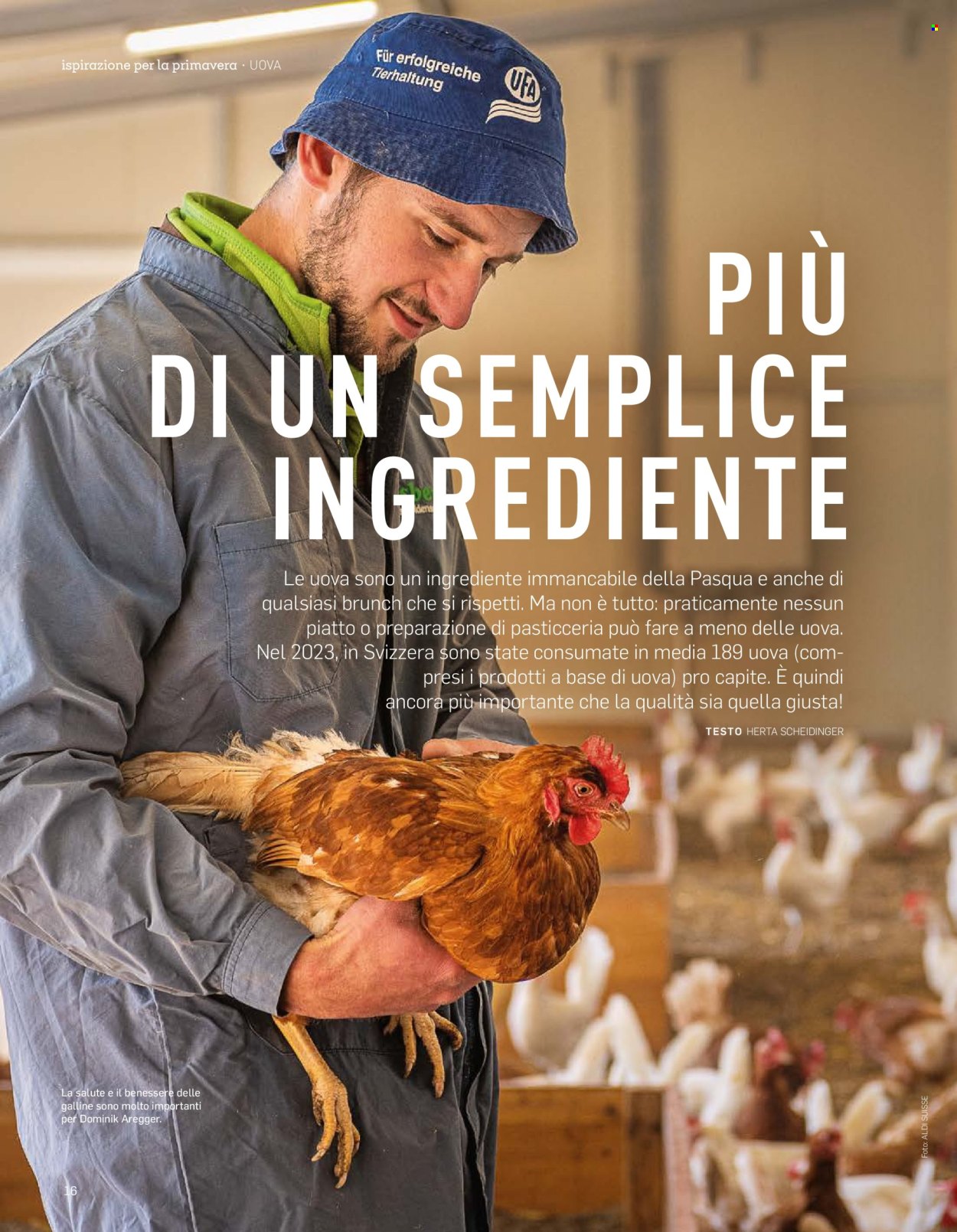 Catalogue Aldi. Page 16.