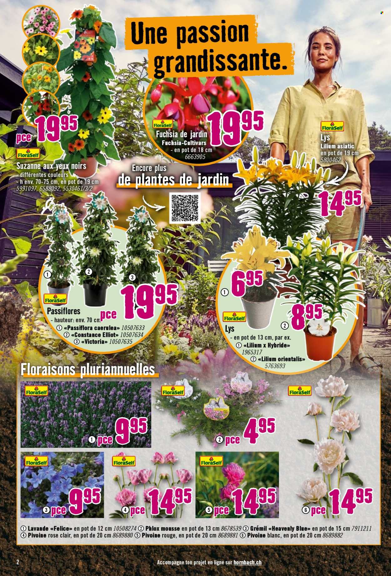 Catalogue Hornbach - 23.4.2025 - 20.5.2025. Page 2.