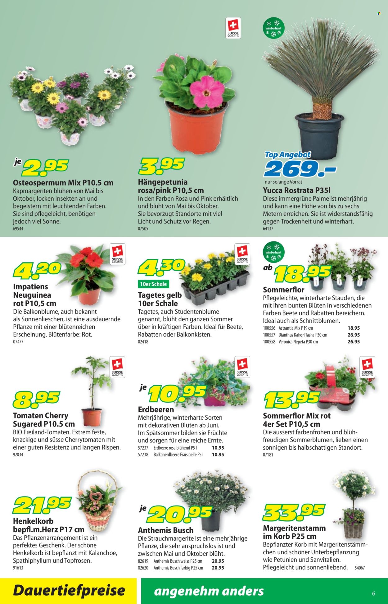 Catalogue Landi - 28.4.2025 - 11.5.2025. Page 10.