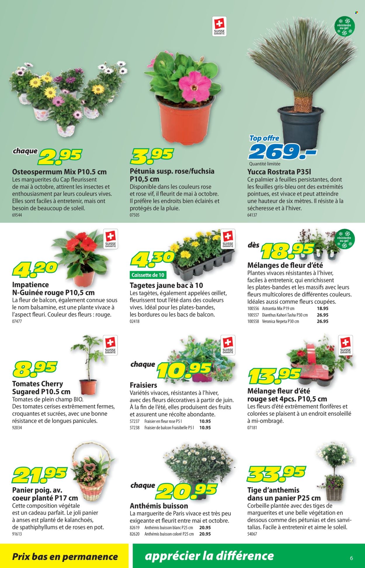 Catalogue Landi - 28.4.2025 - 11.5.2025. Page 10.