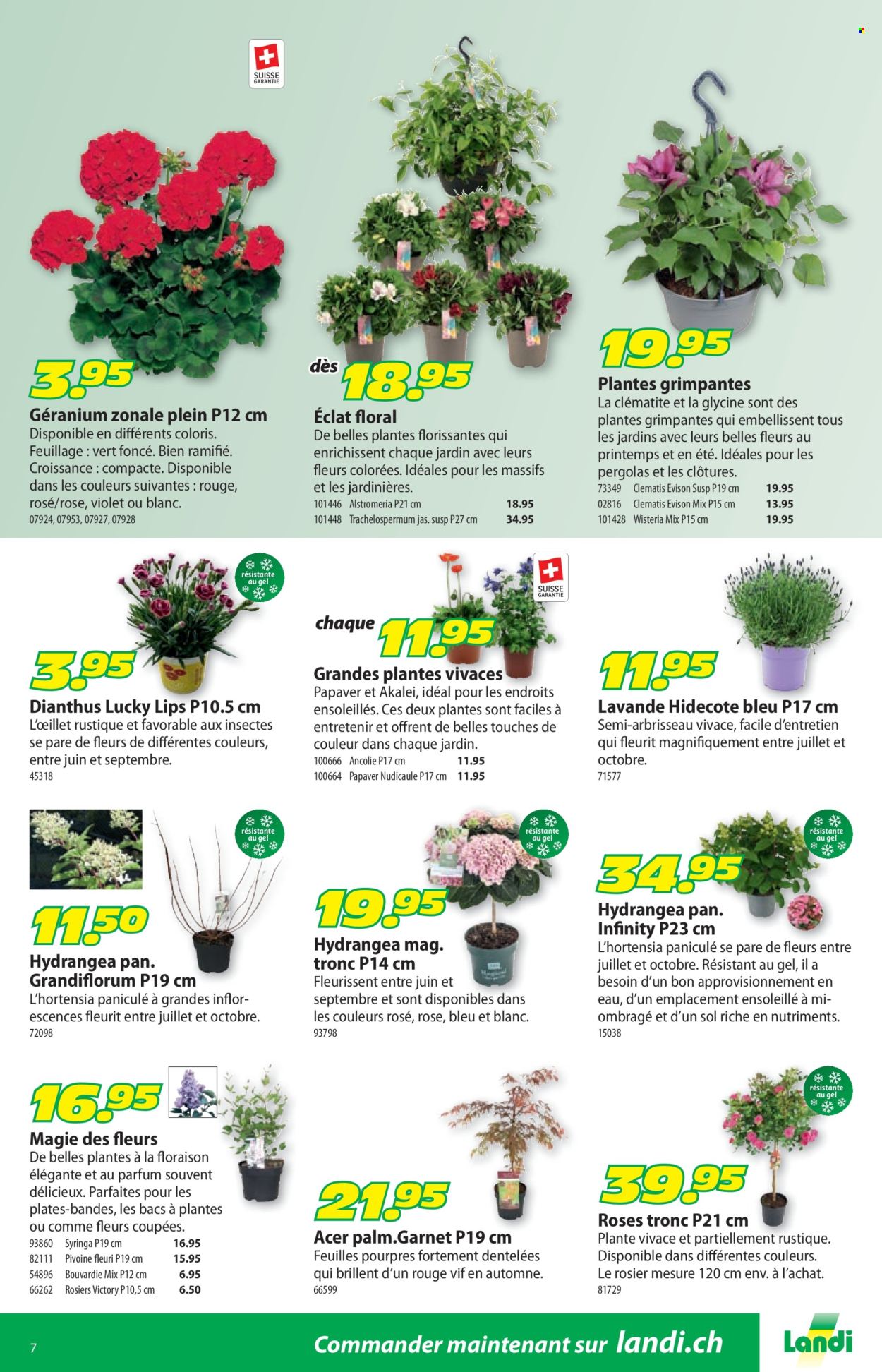 Catalogue Landi - 28.4.2025 - 11.5.2025. Page 11.