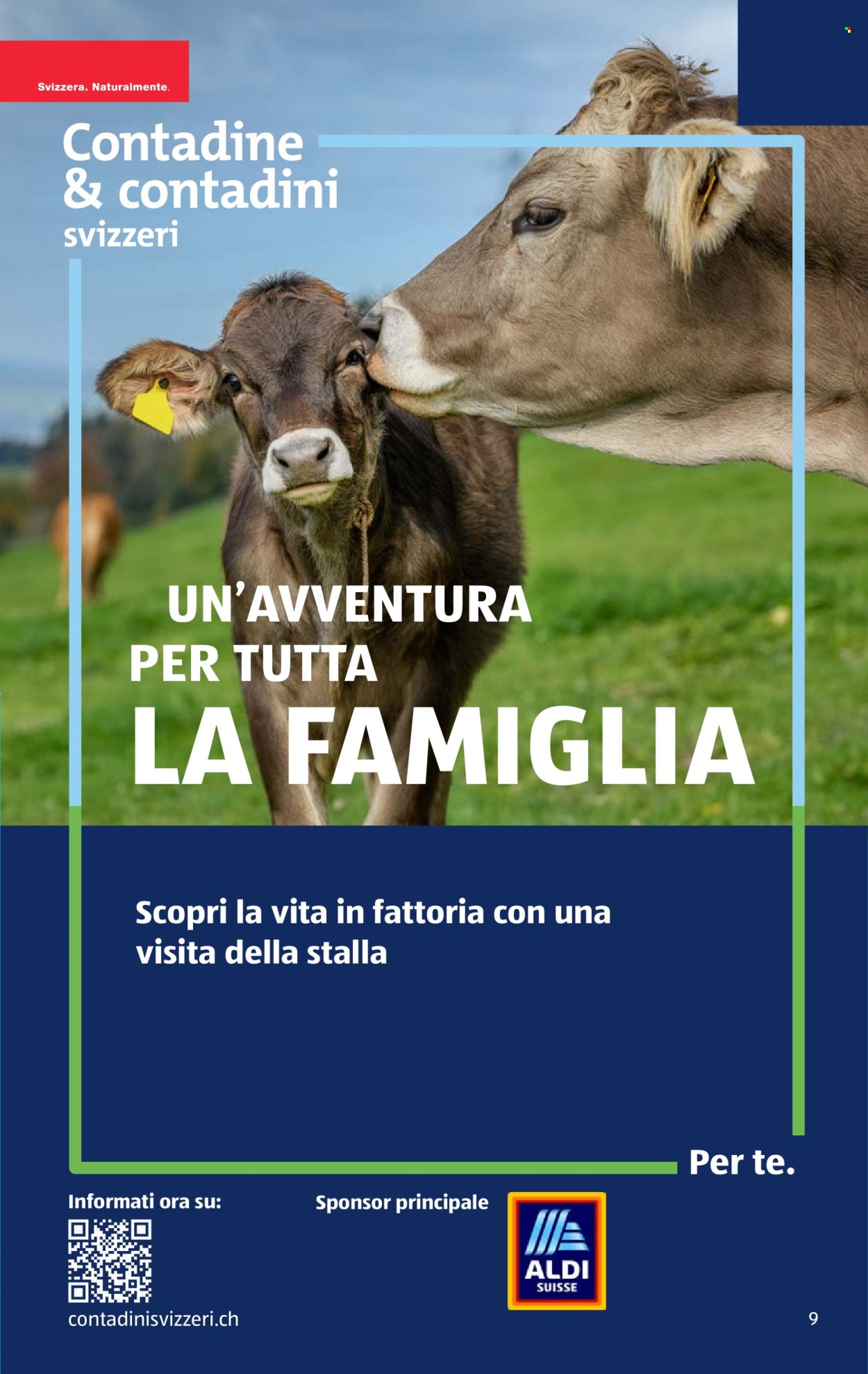Catalogue Aldi - 8.5.2025 - 14.5.2025. Page 9.